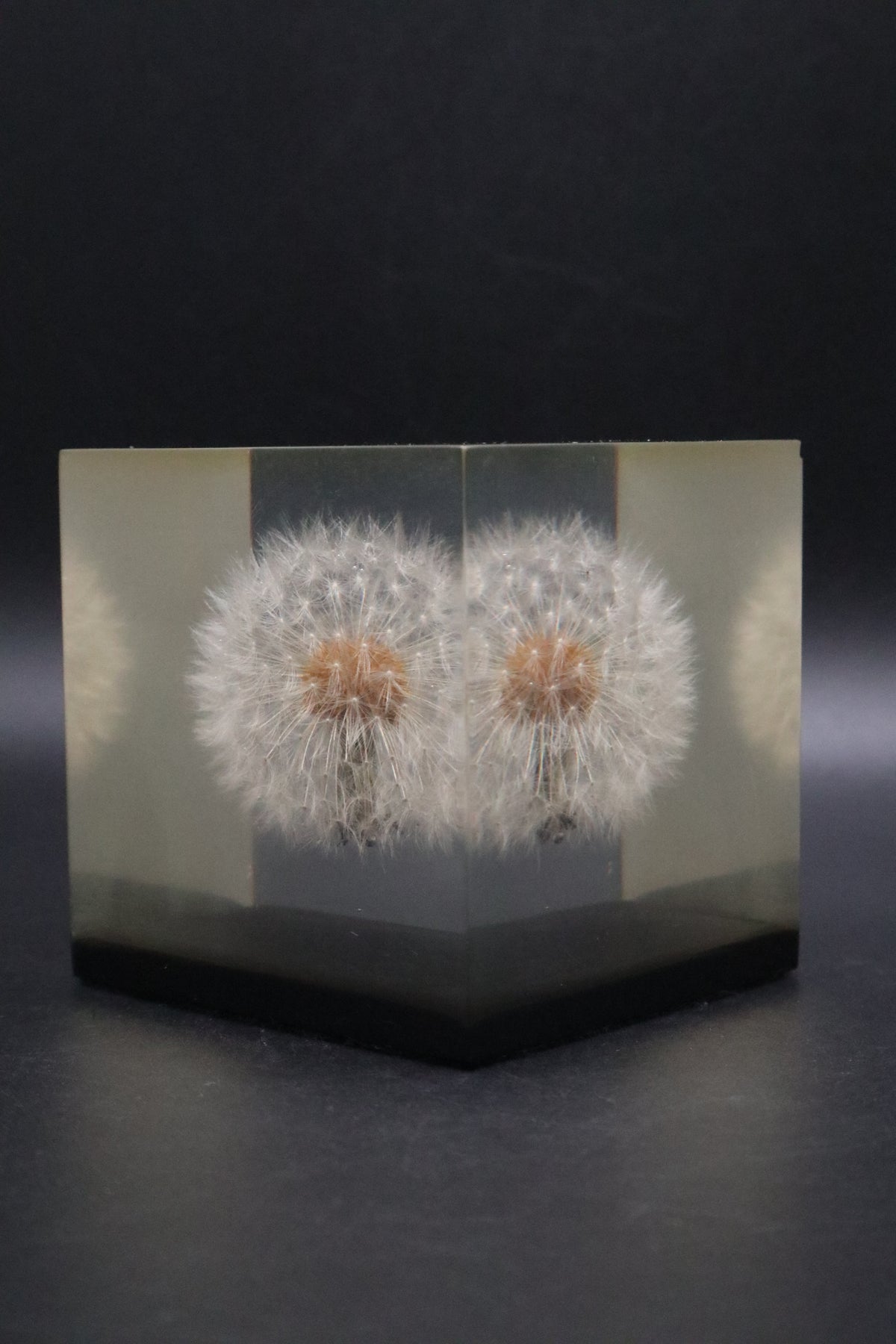 LUCITE DANDELION PAPERWEIGHT 1970 GUMPS