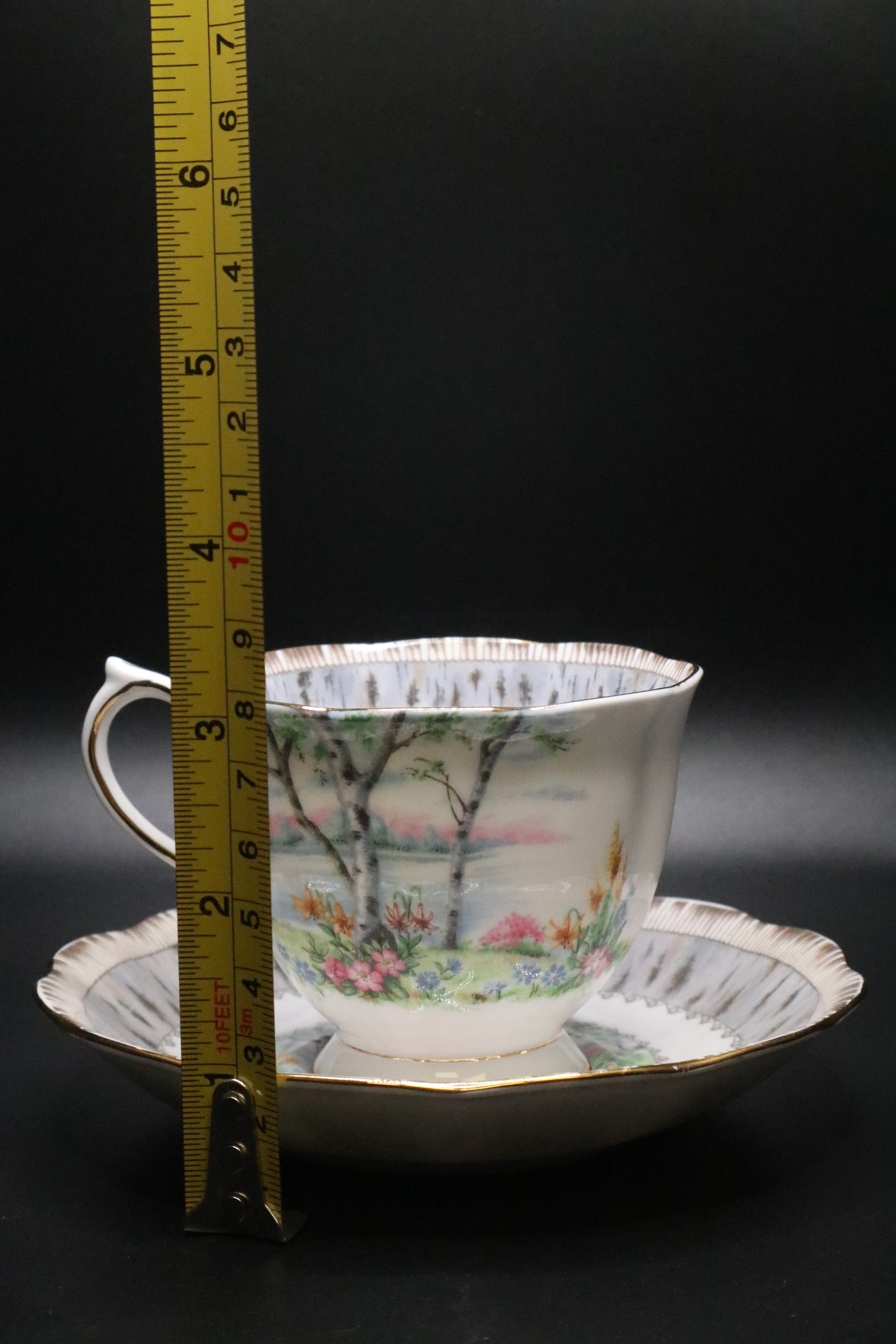 VINTAGE ROYAL ALBERT "SILVER BIRCH" ENGLAND CUP AND SAUCER