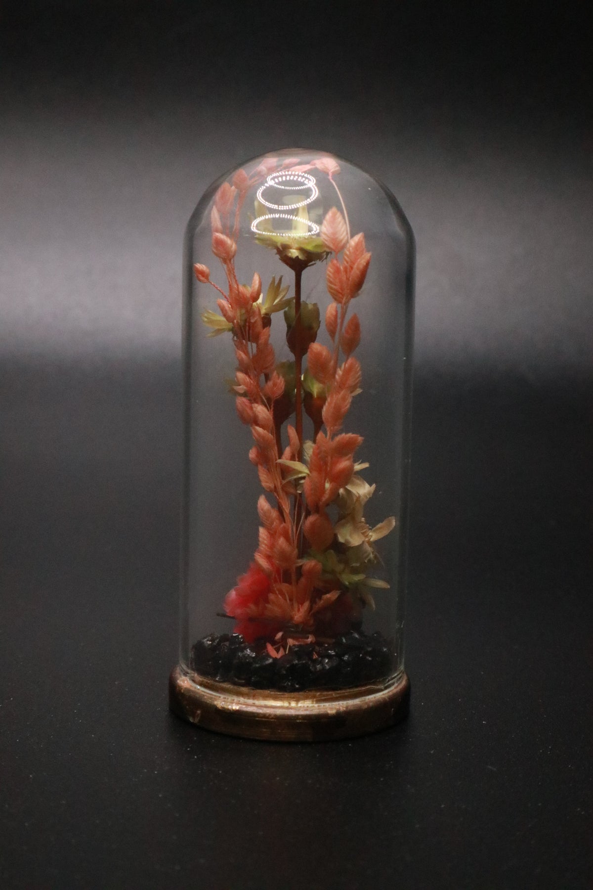 VINTAGE 1970'S MINI GLASS DOME AND BRASS DRIED FLOWER TERRARIUM "PINK FLOWER"