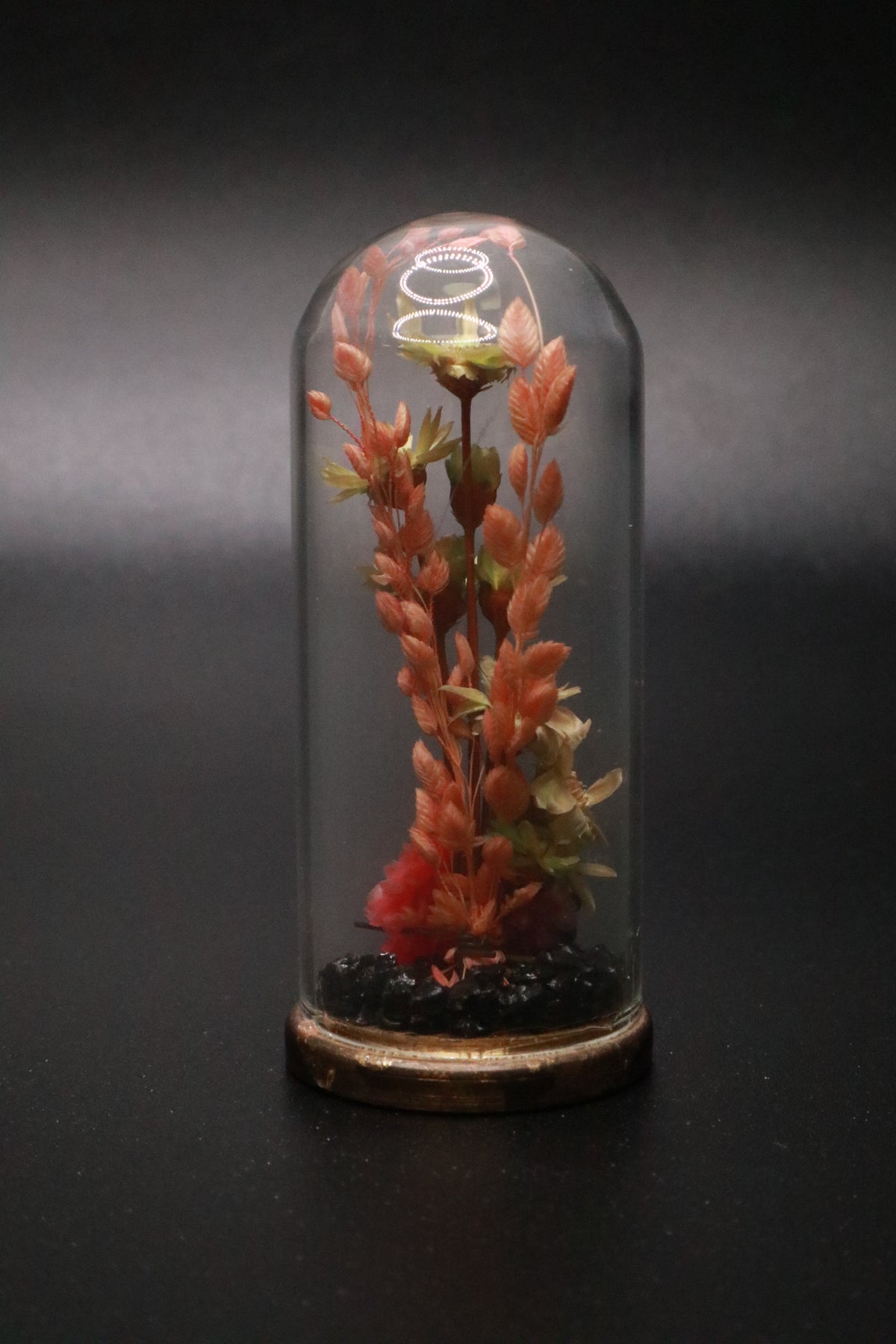 VINTAGE 1970'S MINI GLASS DOME AND BRASS DRIED FLOWER TERRARIUM "PINK FLOWER"