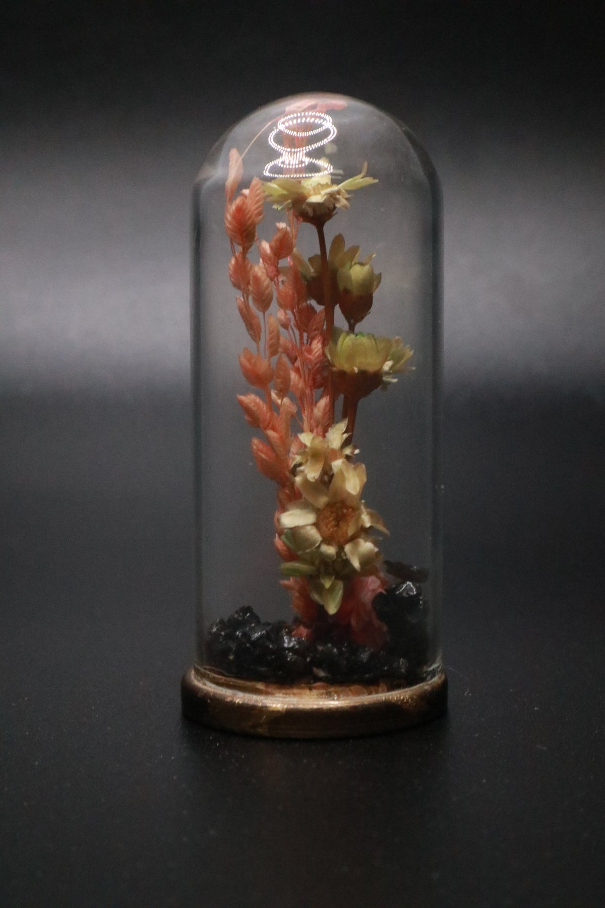 VINTAGE 1970'S MINI GLASS DOME AND BRASS DRIED FLOWER TERRARIUM "PINK FLOWER"