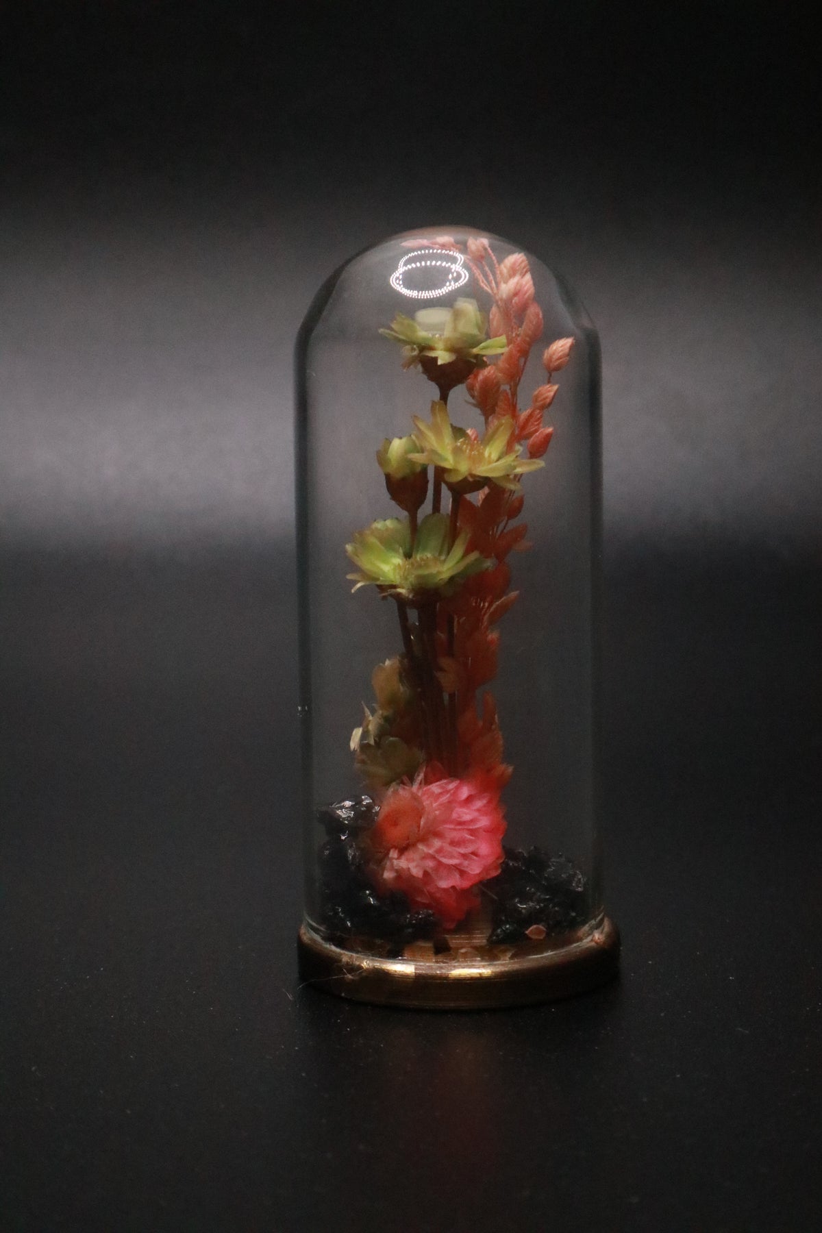 VINTAGE 1970'S MINI GLASS DOME AND BRASS DRIED FLOWER TERRARIUM "PINK FLOWER"