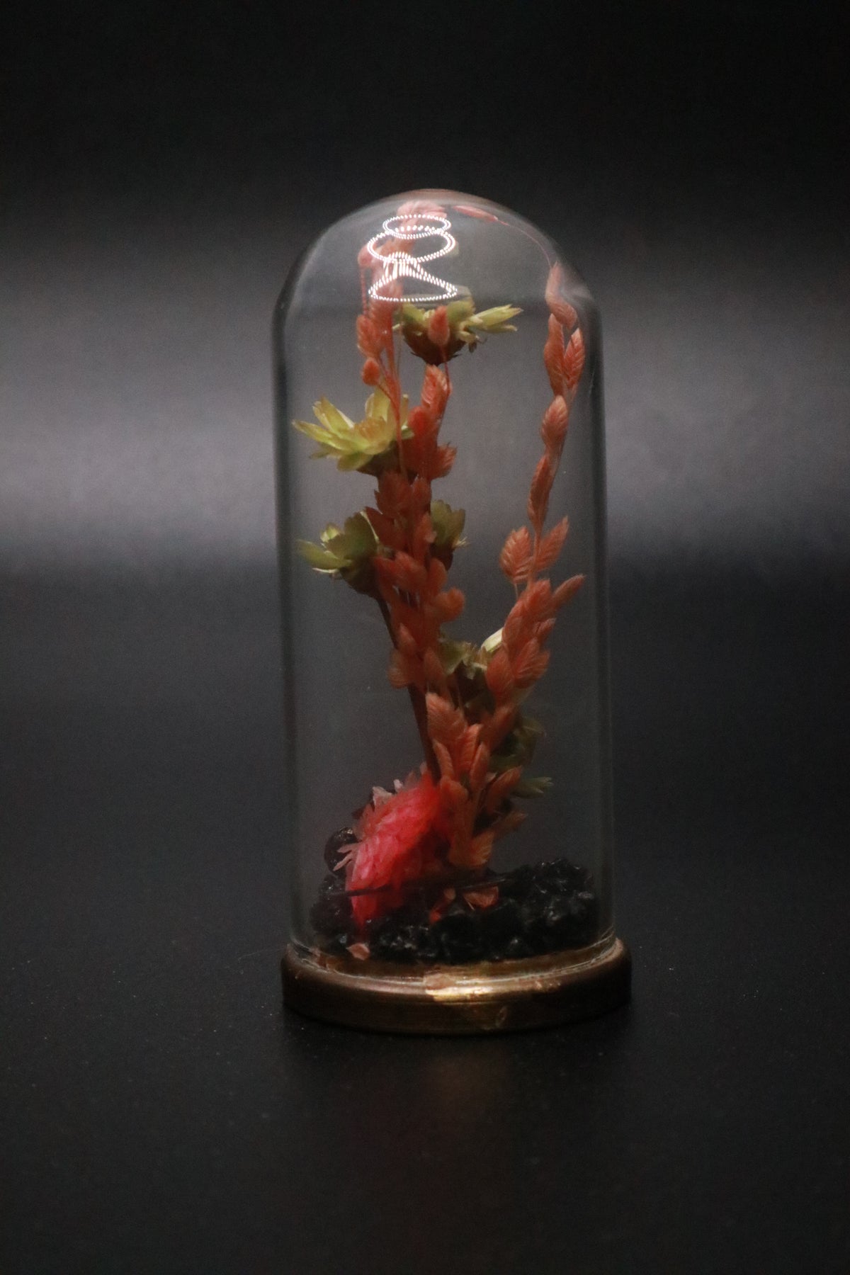 VINTAGE 1970'S MINI GLASS DOME AND BRASS DRIED FLOWER TERRARIUM "PINK FLOWER"
