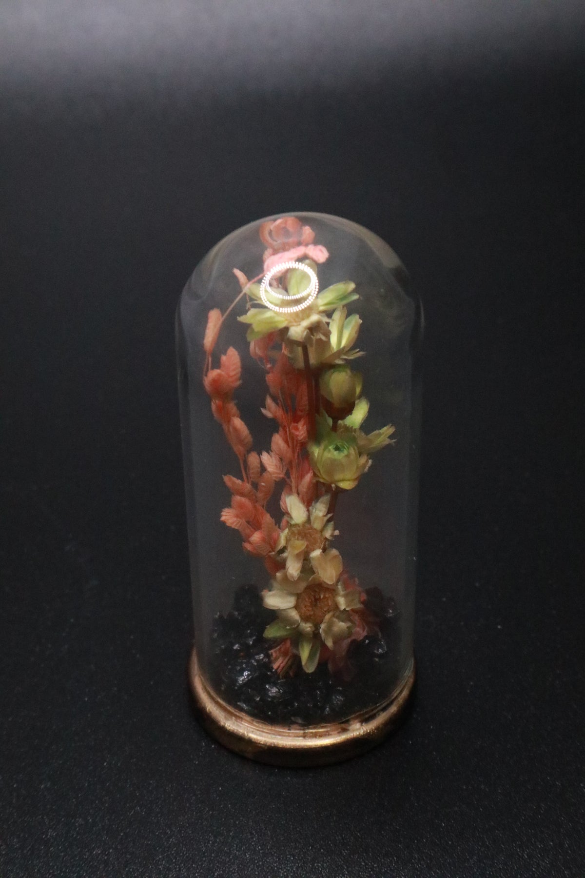 VINTAGE 1970'S MINI GLASS DOME AND BRASS DRIED FLOWER TERRARIUM "PINK FLOWER"