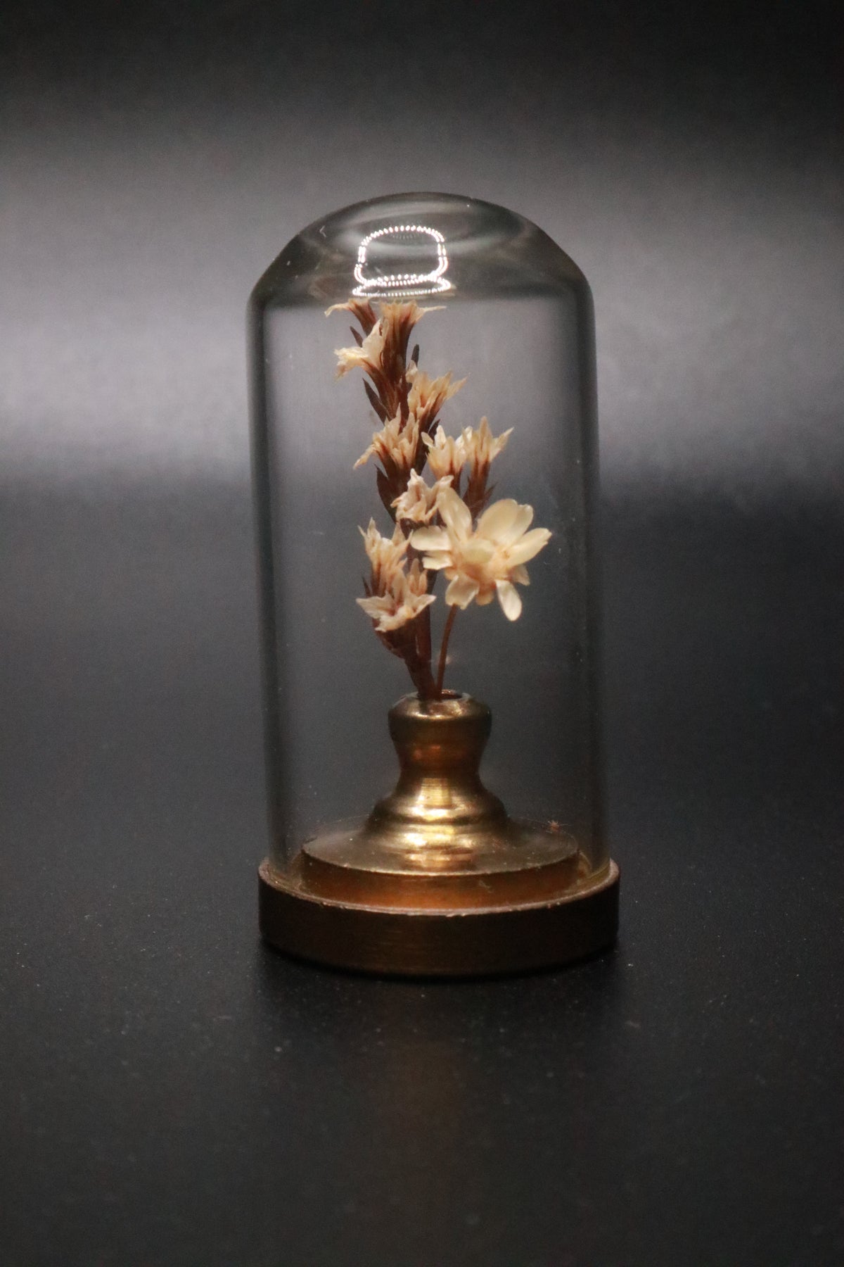 VINTAGE 1970'S MINI GLASS DOME DRIED FLOWER TERRARIUM WITH BRASS