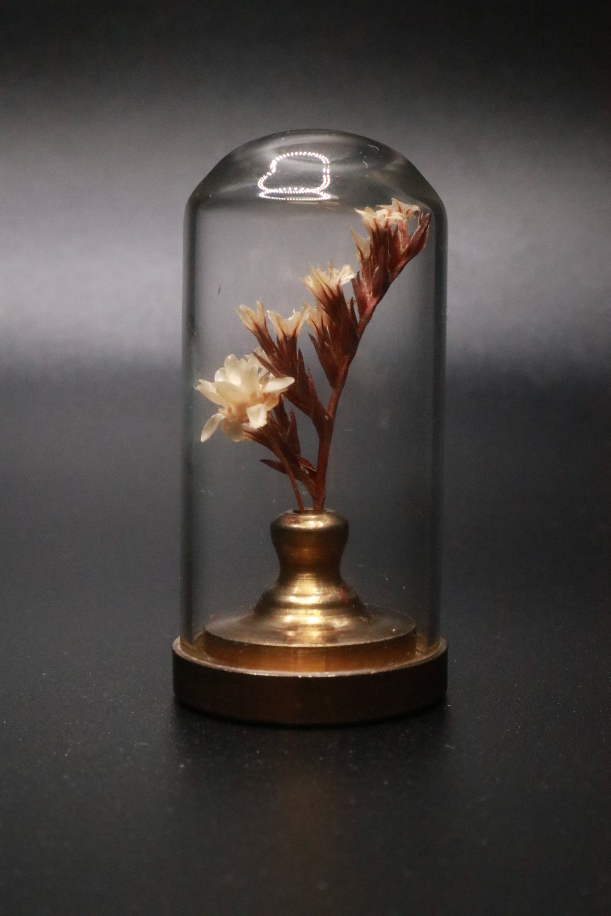 VINTAGE 1970'S MINI GLASS DOME DRIED FLOWER TERRARIUM WITH BRASS