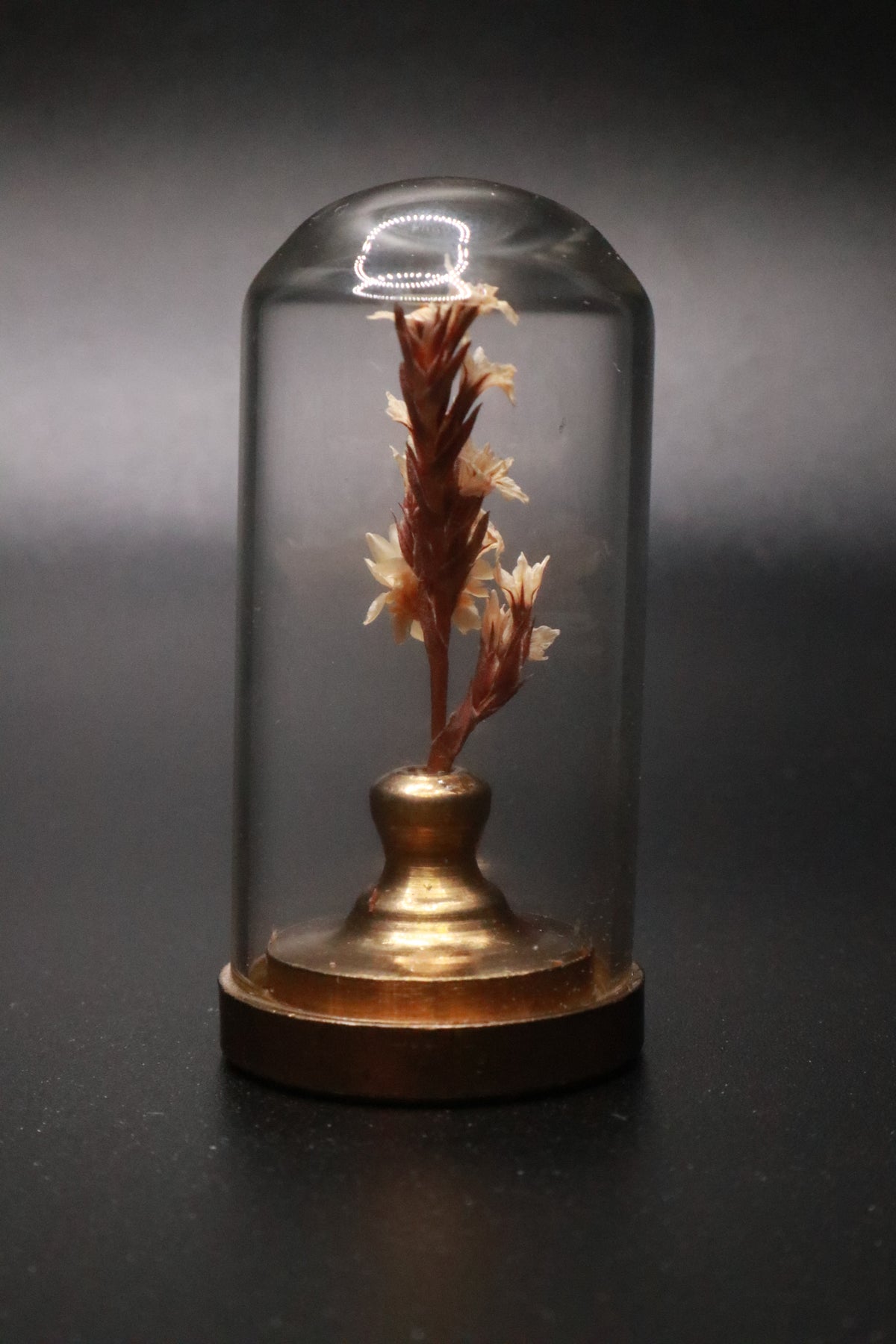VINTAGE 1970'S MINI GLASS DOME DRIED FLOWER TERRARIUM WITH BRASS