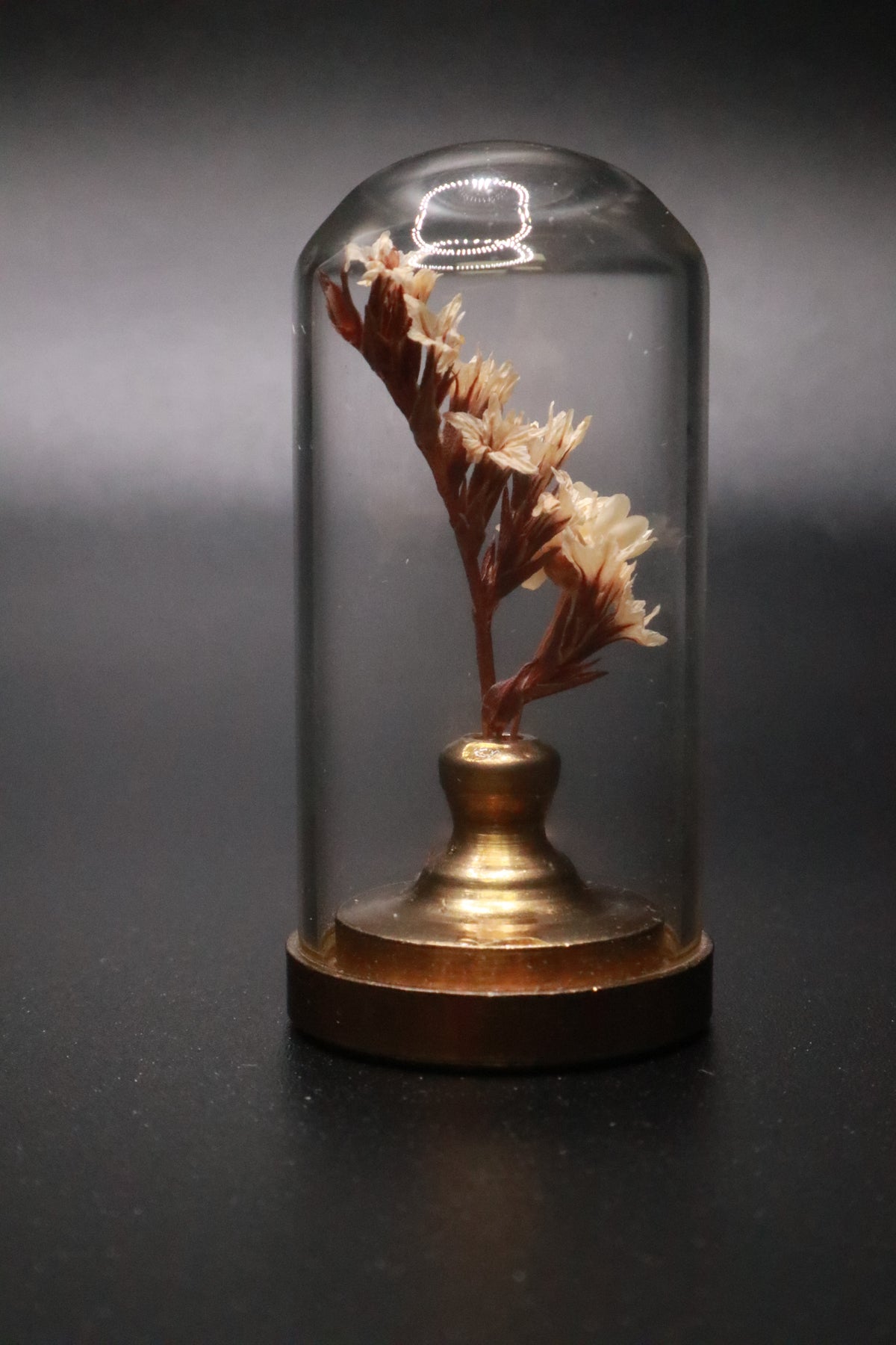 VINTAGE 1970'S MINI GLASS DOME DRIED FLOWER TERRARIUM WITH BRASS