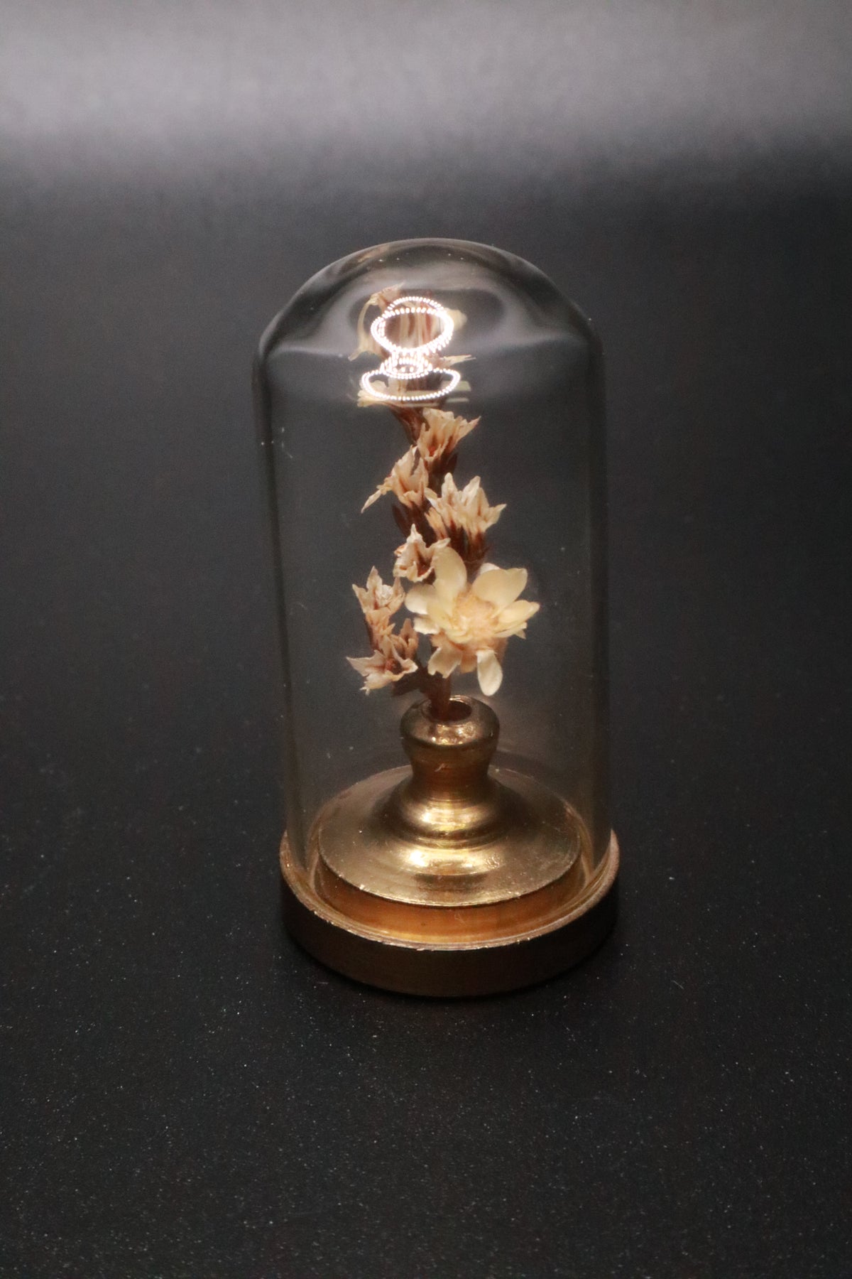 VINTAGE 1970'S MINI GLASS DOME DRIED FLOWER TERRARIUM WITH BRASS