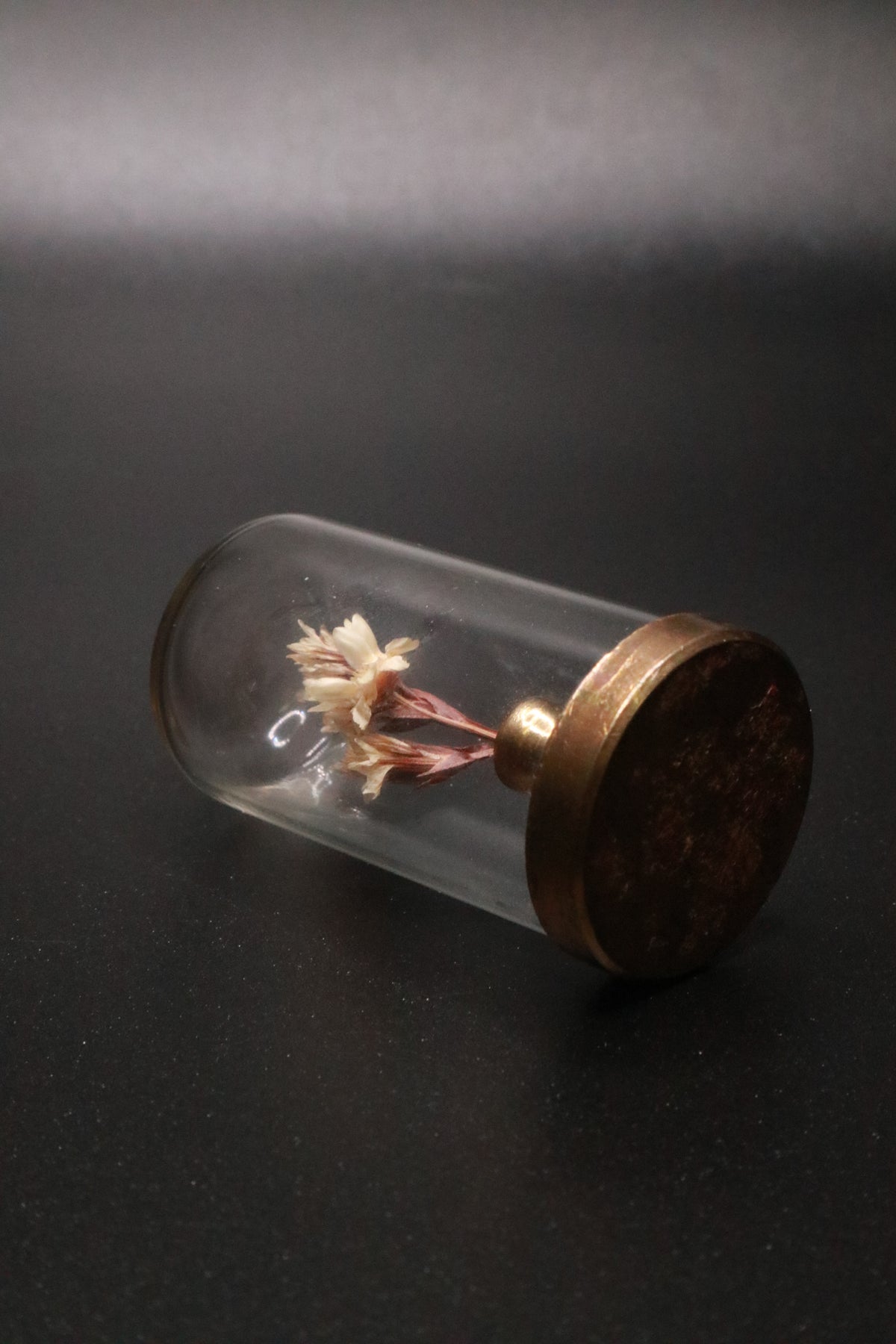 VINTAGE 1970'S MINI GLASS DOME DRIED FLOWER TERRARIUM WITH BRASS