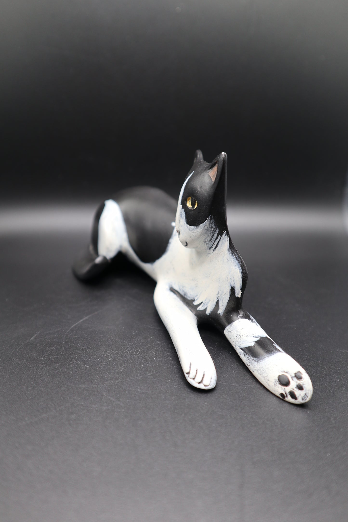 LYNDA PLEET WHITE AND BLACK CAT