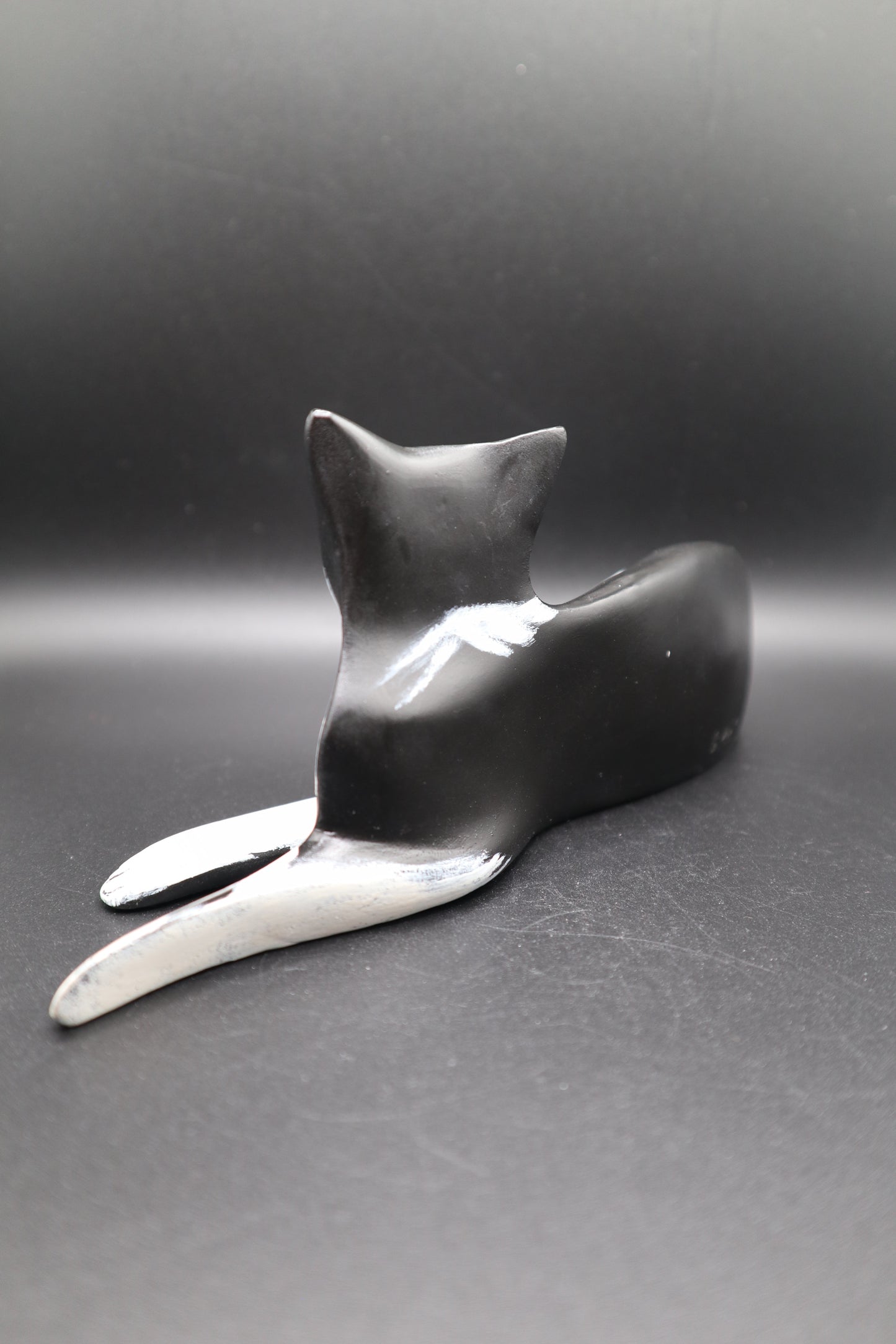 LYNDA PLEET WHITE AND BLACK CAT