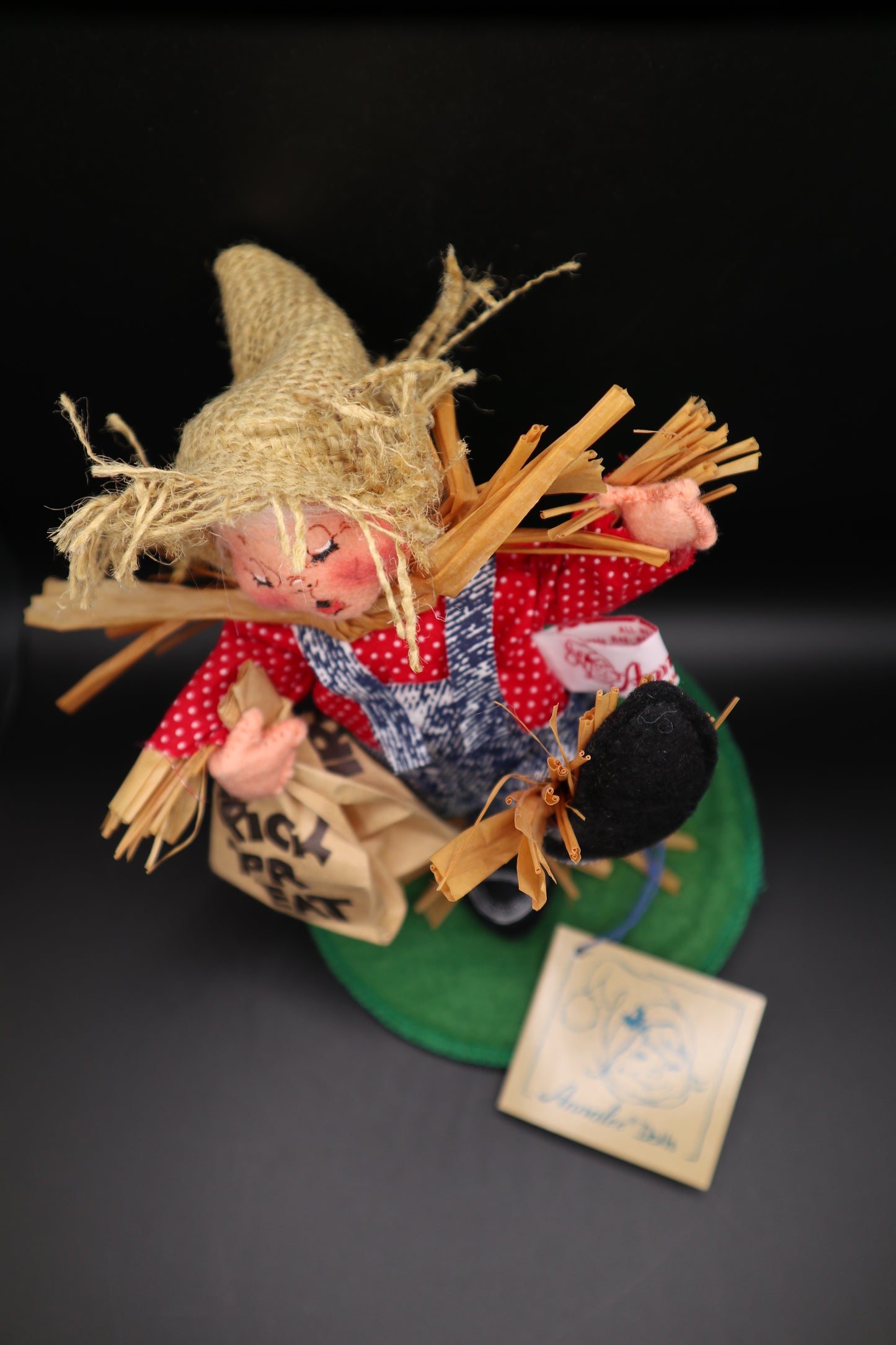 ANNLEE SCARECROW KID