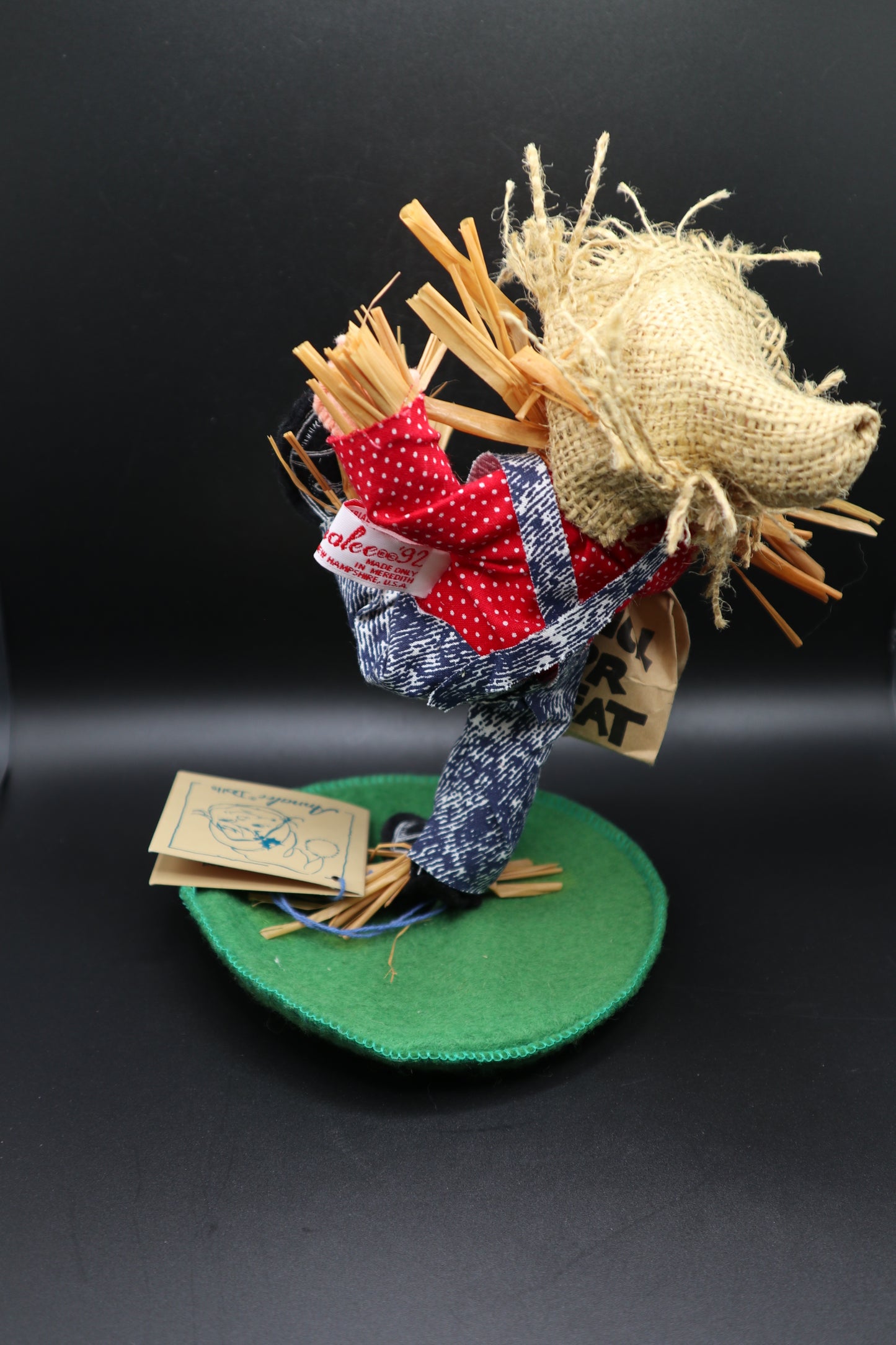 ANNLEE SCARECROW KID