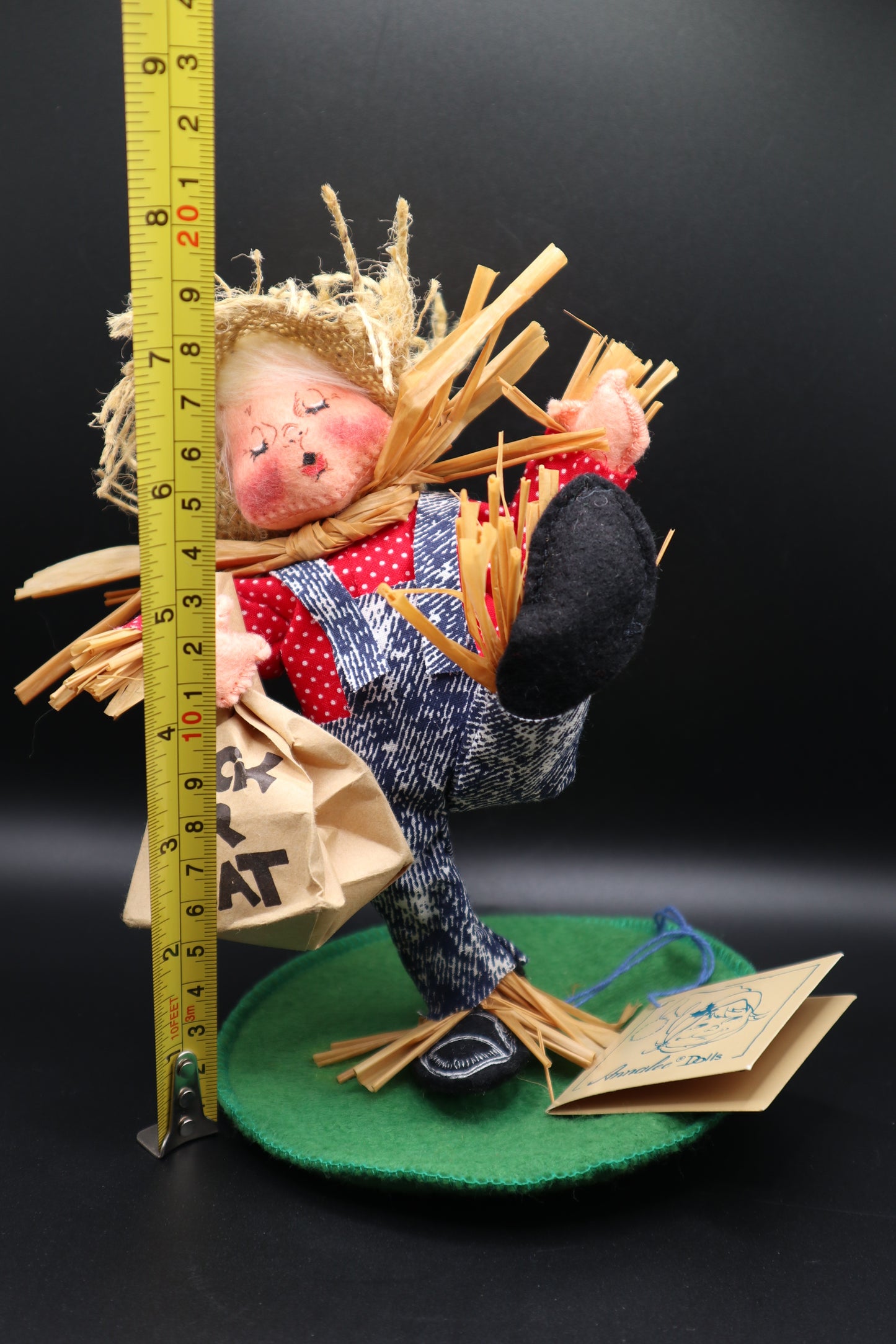 ANNLEE SCARECROW KID