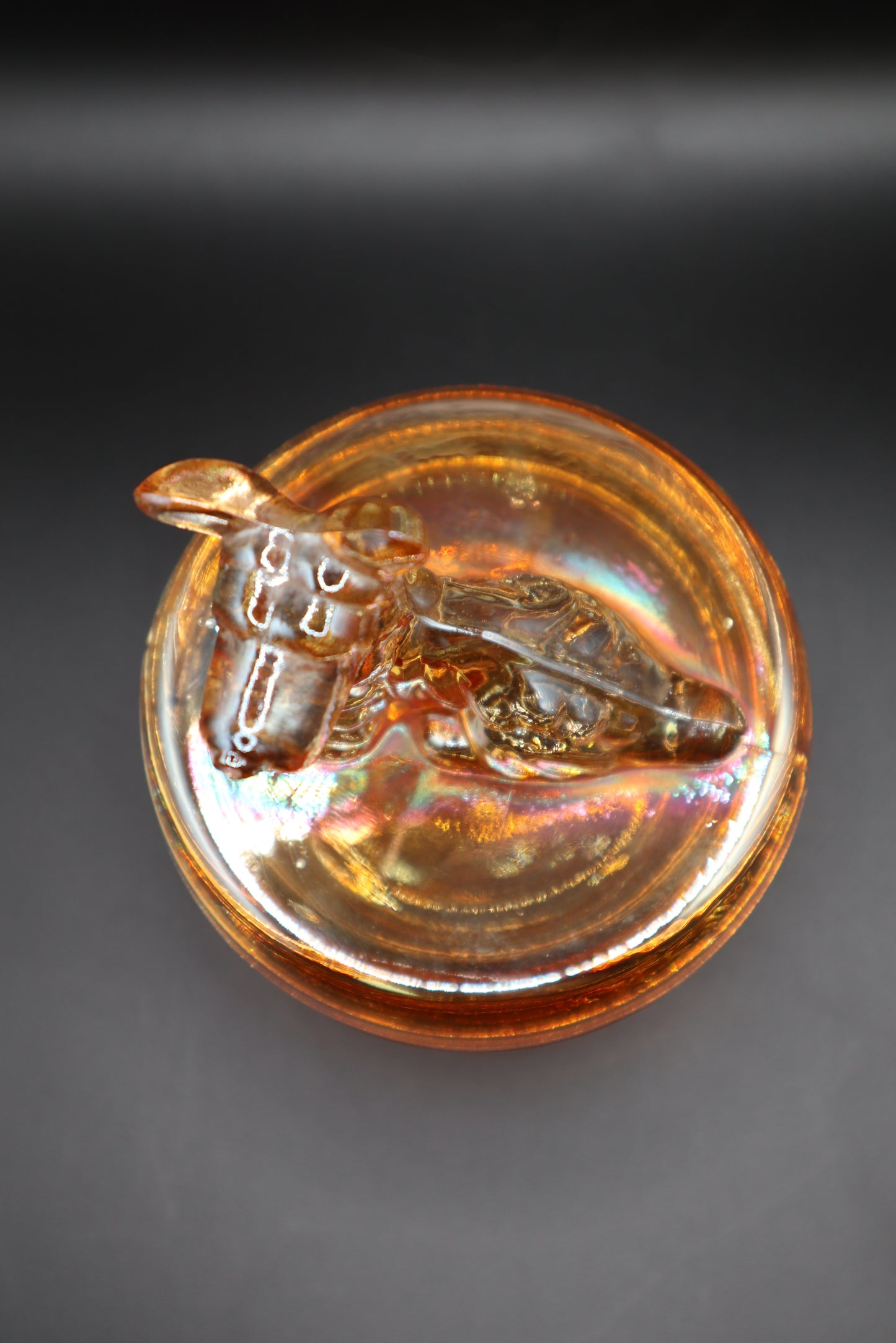 VINTAGE JEANNETTE MARIGOLD CARNIVAL GLASS TERRIER SCOTTY DOG COVERED DISH