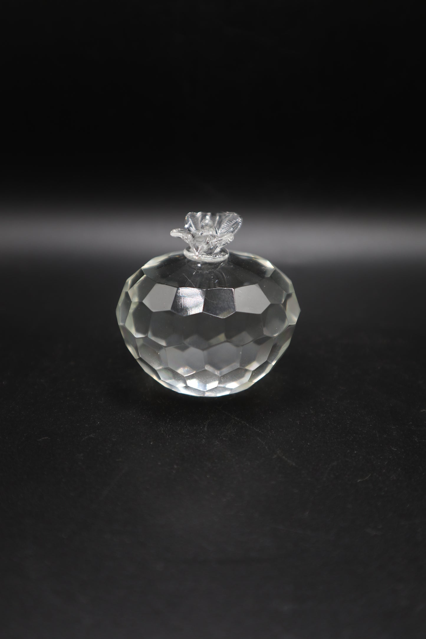 CRYSTAL APPLE ETCHED PAPERWEIGHT