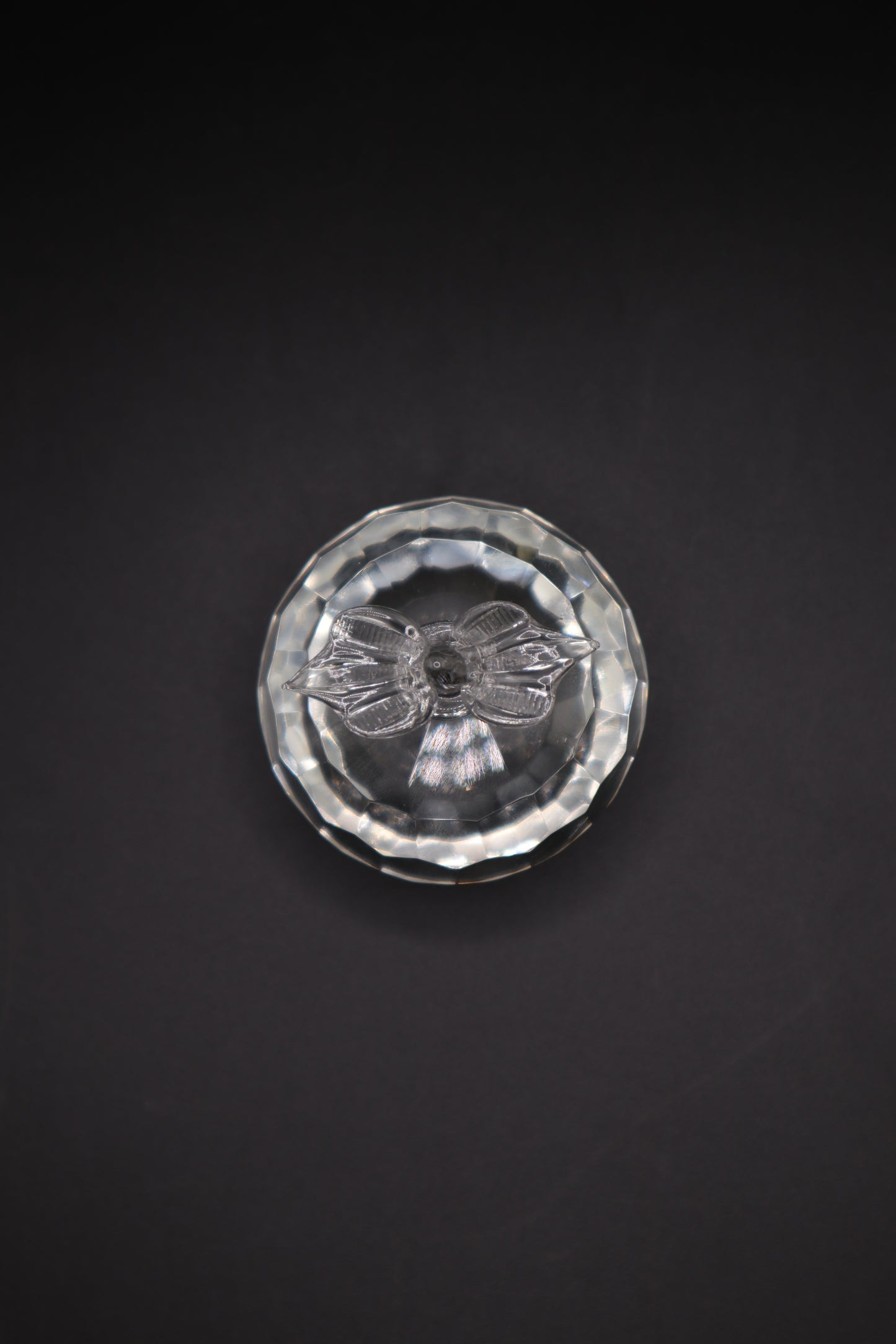 CRYSTAL APPLE ETCHED PAPERWEIGHT