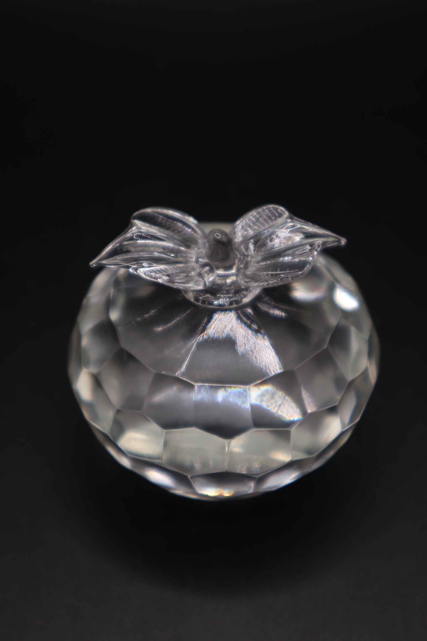 CRYSTAL APPLE ETCHED PAPERWEIGHT