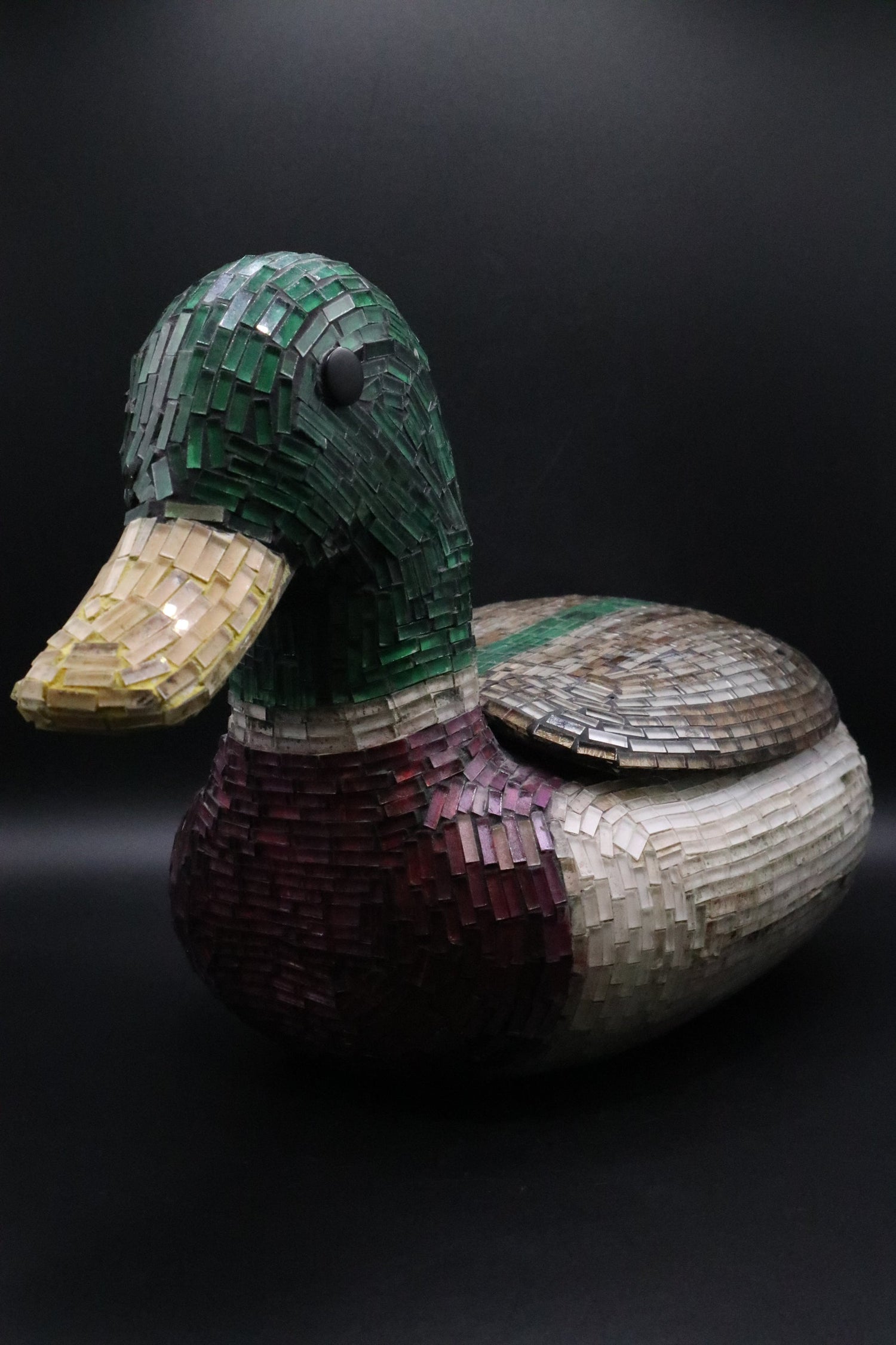 DUCK COLLECTION