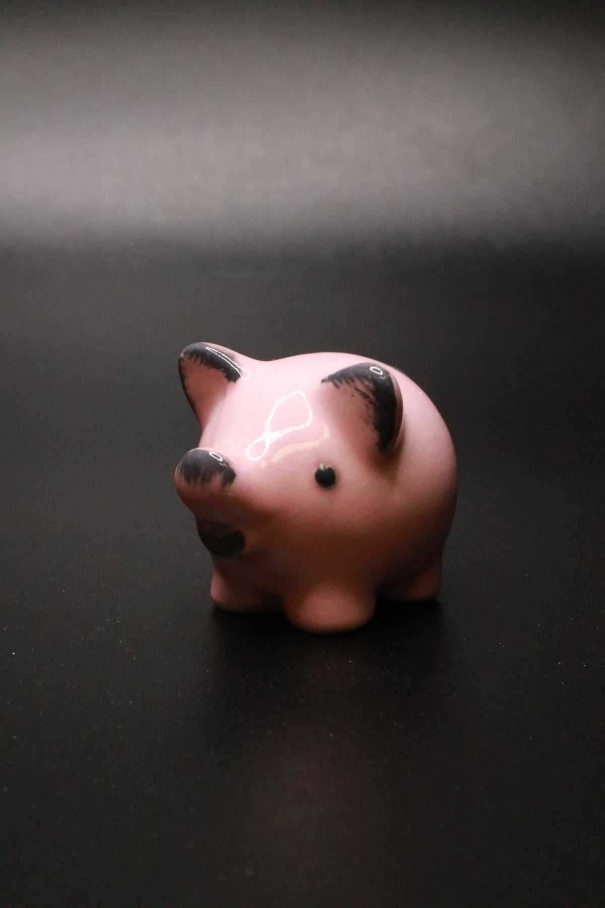 ANIMAL COLLECTION