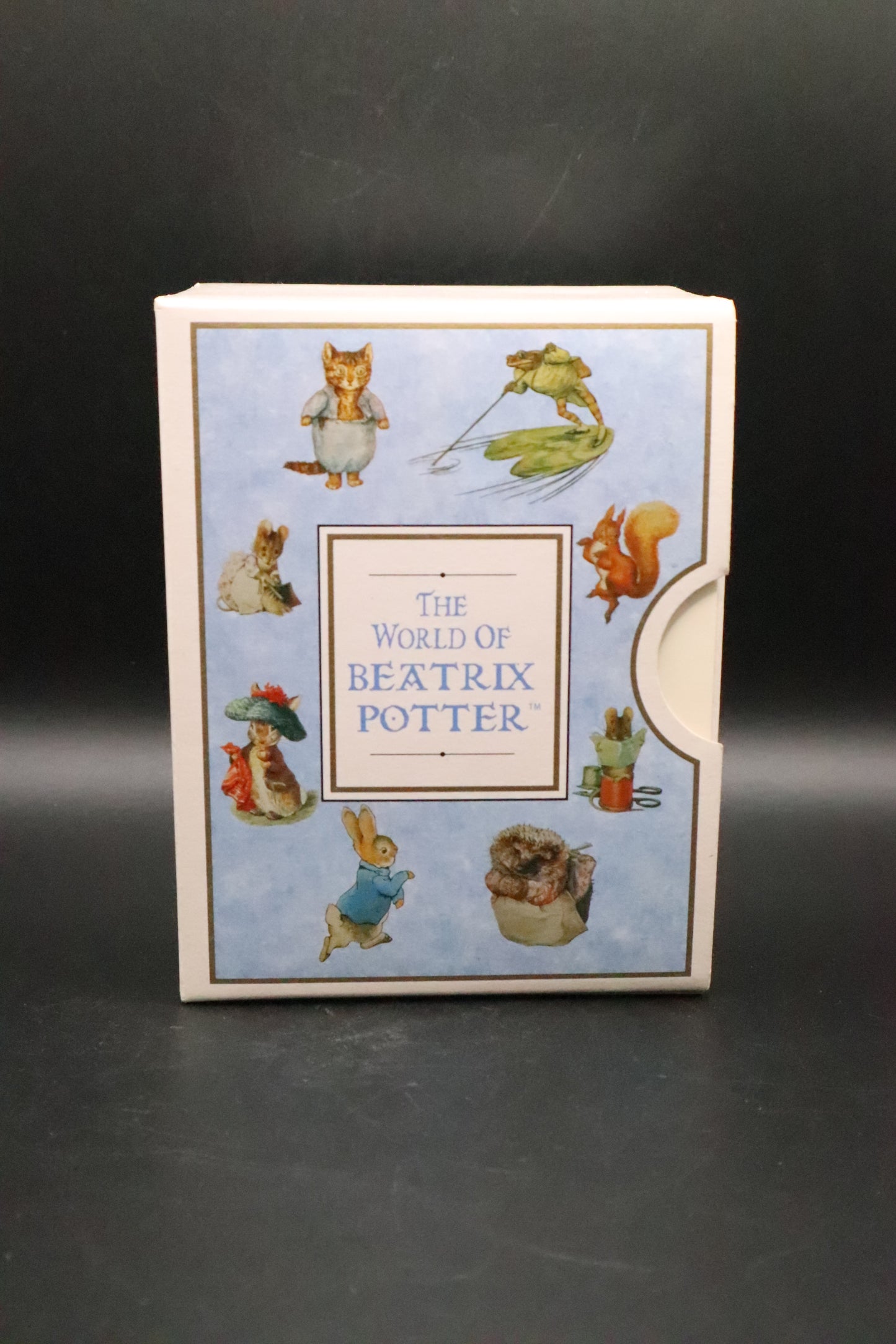 VINTAGE BORDER FINE ARTS WORLD OF BEATRIX POTTER "PETER RABBIT"