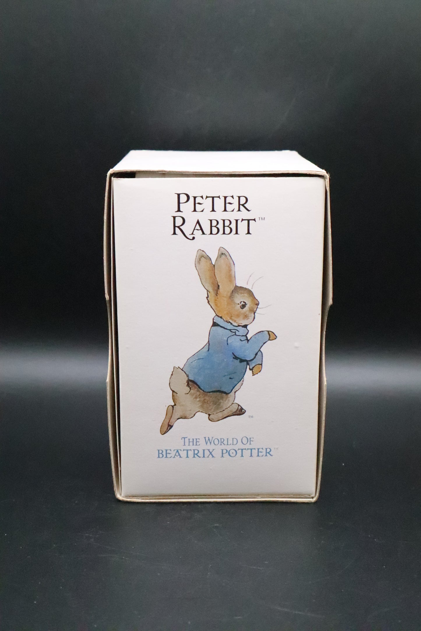 VINTAGE BORDER FINE ARTS WORLD OF BEATRIX POTTER "PETER RABBIT"