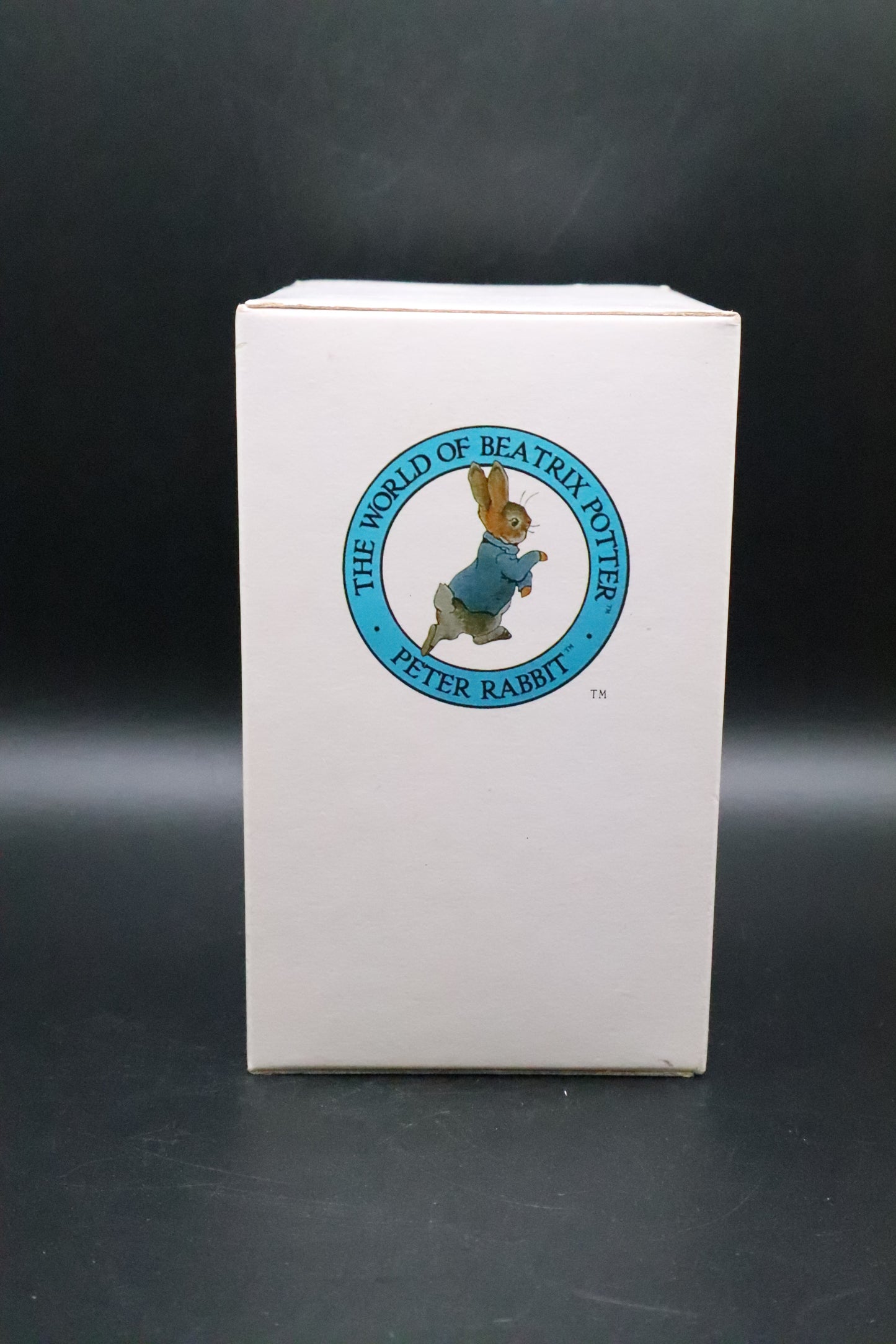 VINTAGE BORDER FINE ARTS WORLD OF BEATRIX POTTER "PETER RABBIT"