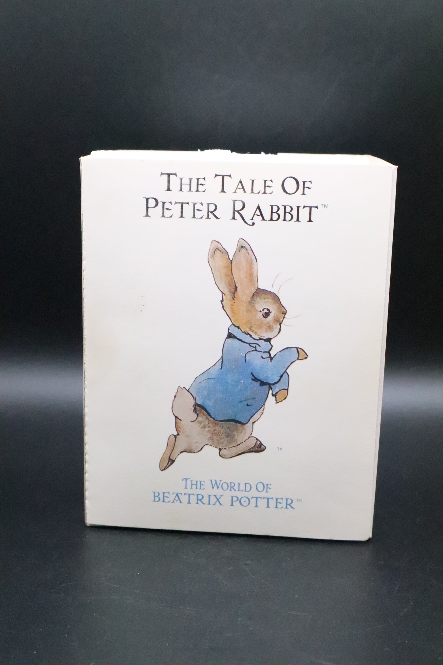 VINTAGE BORDER FINE ARTS WORLD OF BEATRIX POTTER "PETER RABBIT"