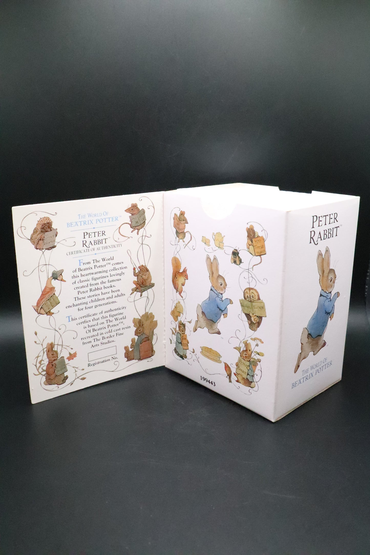 VINTAGE BORDER FINE ARTS WORLD OF BEATRIX POTTER "PETER RABBIT"