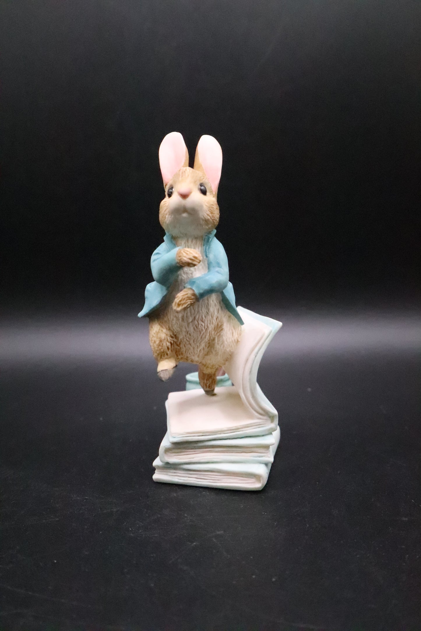 VINTAGE BORDER FINE ARTS WORLD OF BEATRIX POTTER "PETER RABBIT"