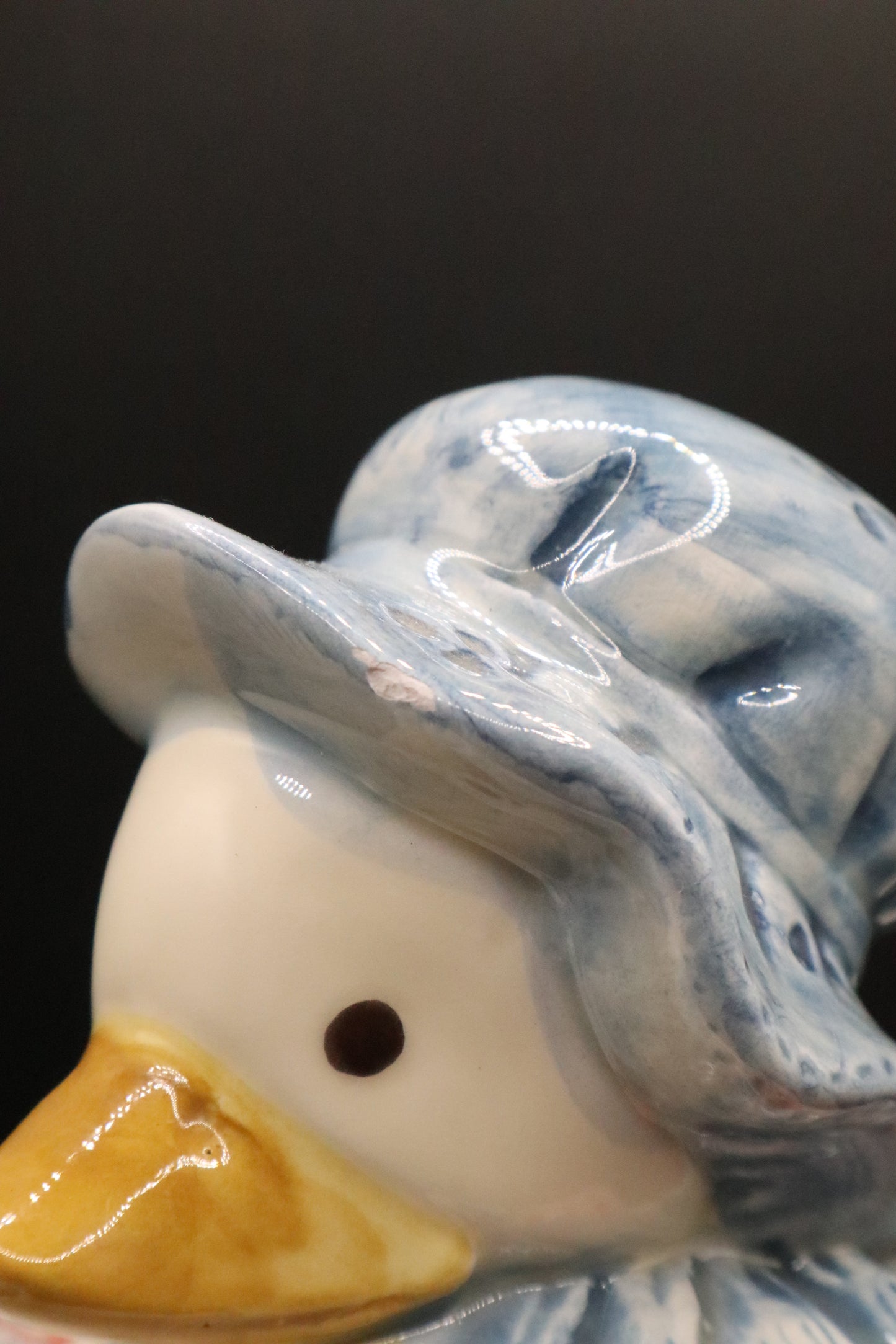 COUNTRY DUCK IN APRON THEME TEAPOT