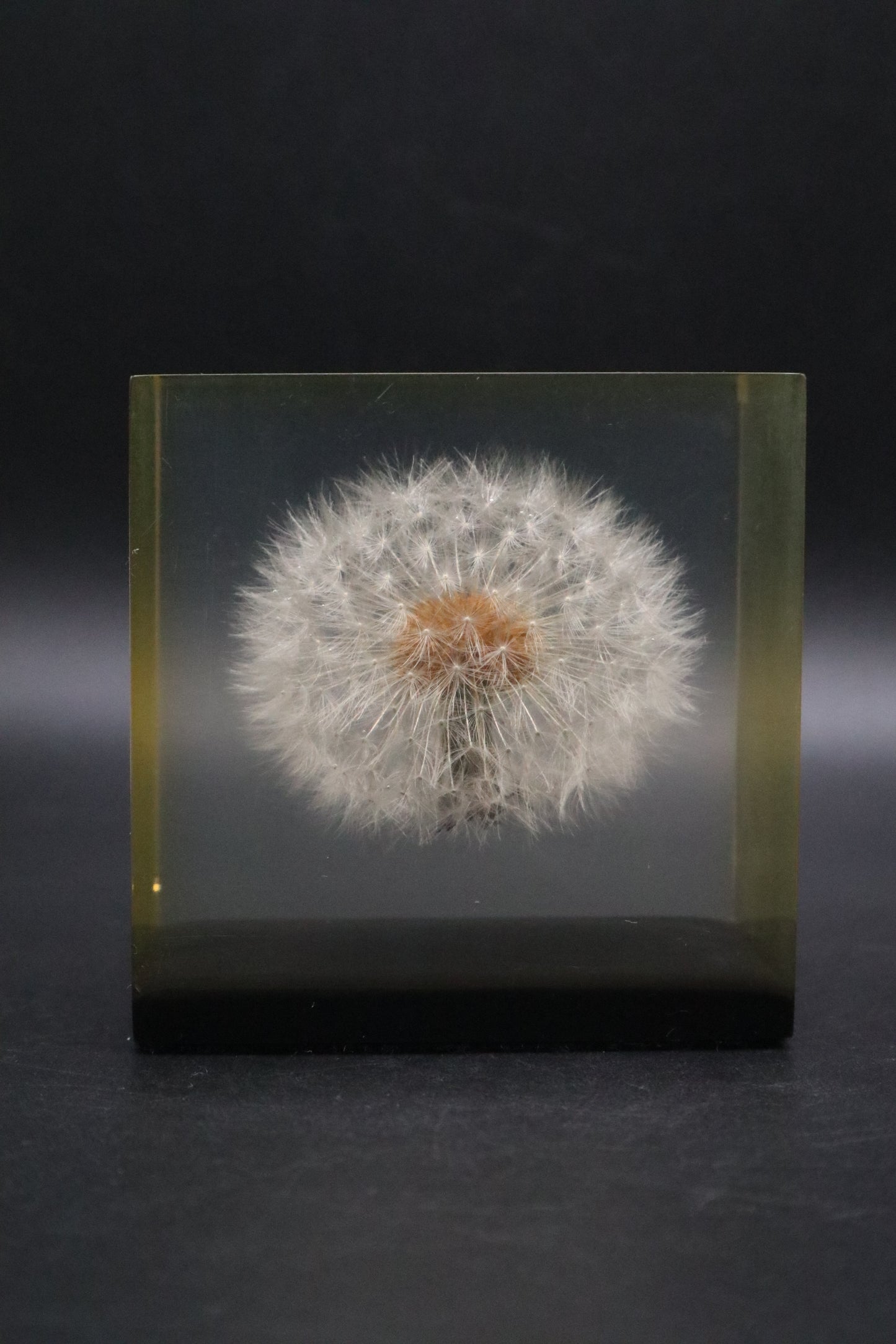 LUCITE DANDELION PAPERWEIGHT 1970 GUMPS