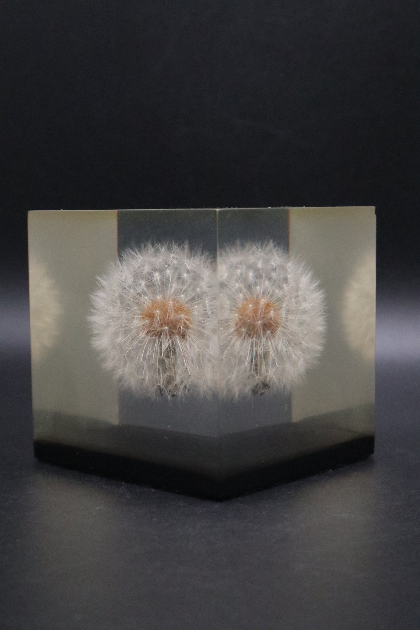 LUCITE DANDELION PAPERWEIGHT 1970 GUMPS