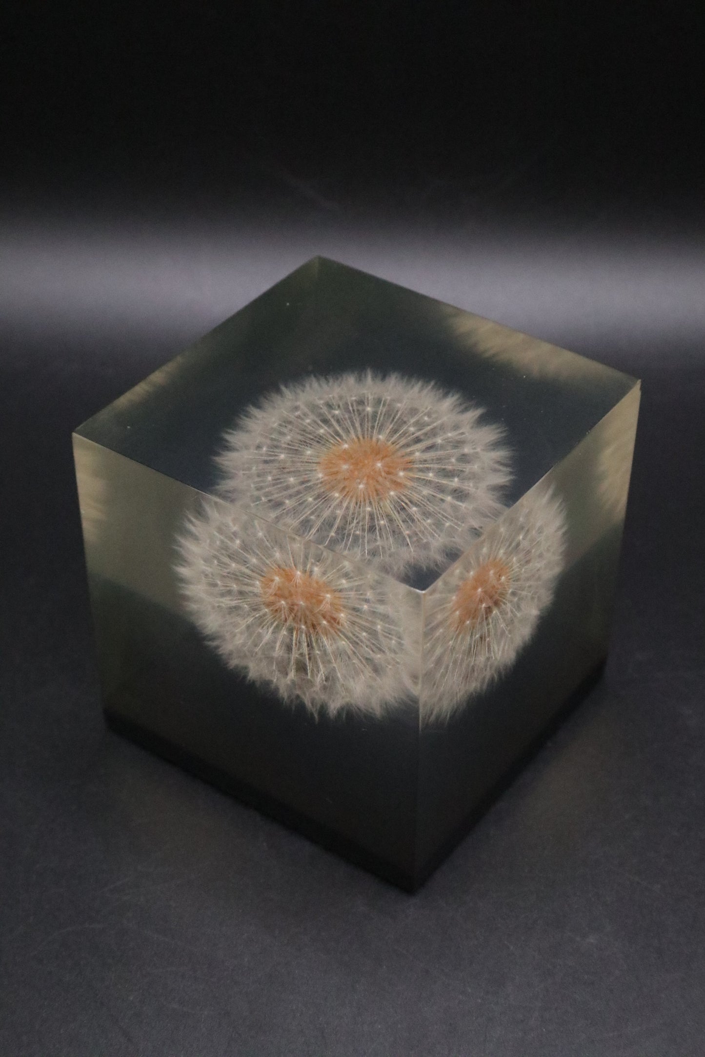 LUCITE DANDELION PAPERWEIGHT 1970 GUMPS