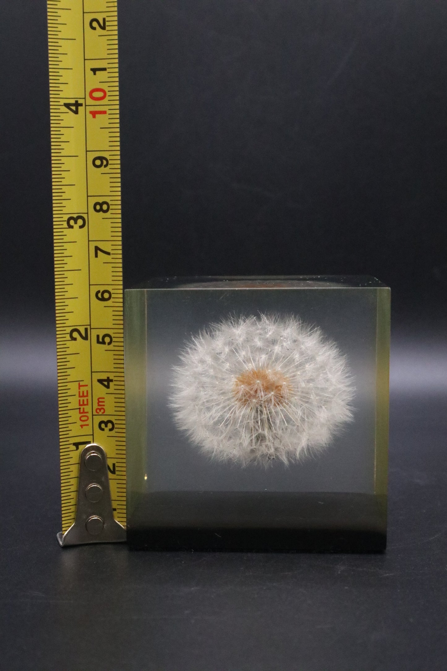 LUCITE DANDELION PAPERWEIGHT 1970 GUMPS