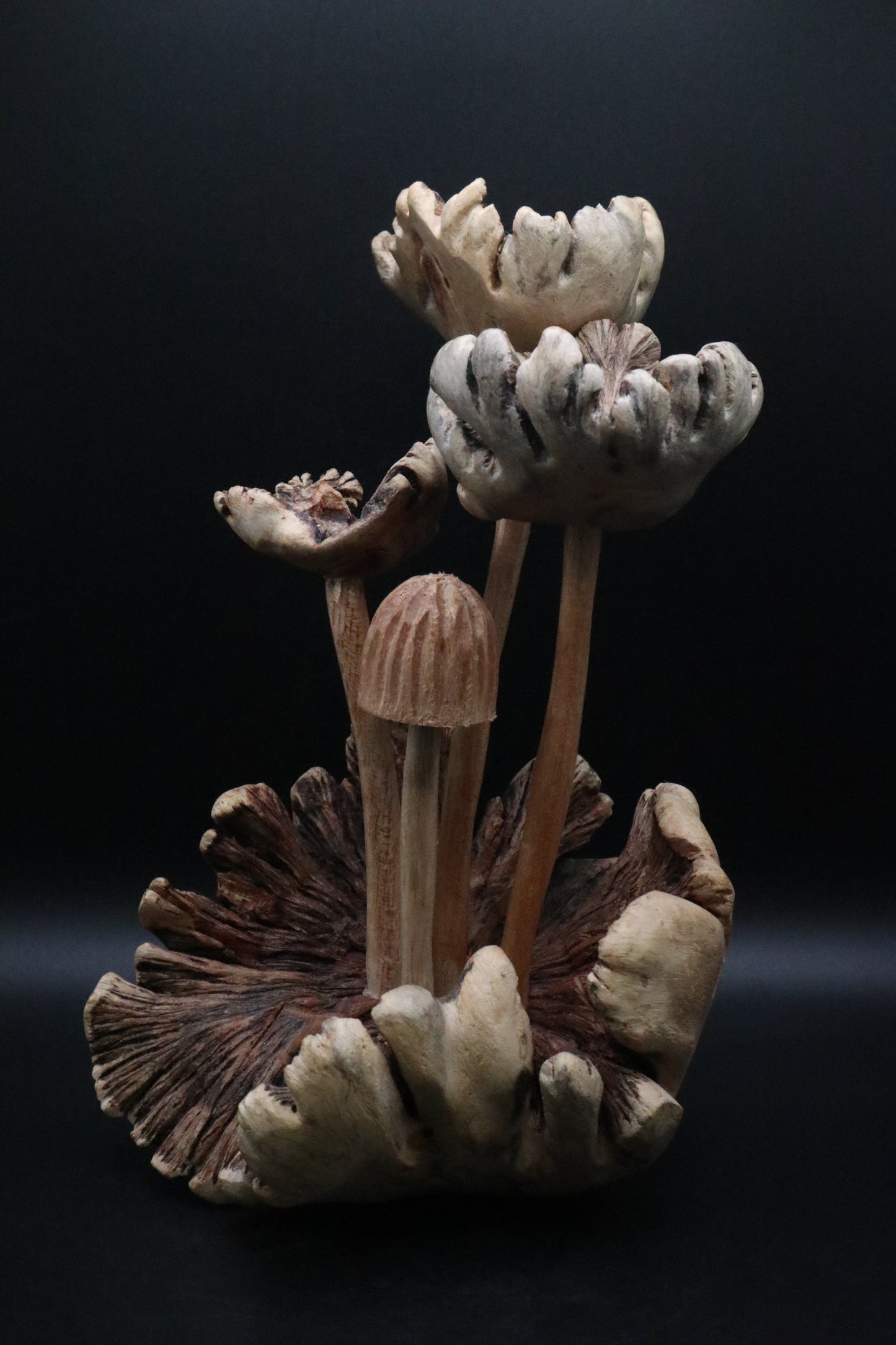 HAND CARVED PARASITE WOOD MUSHROOM SCULPTURE (AS IS )