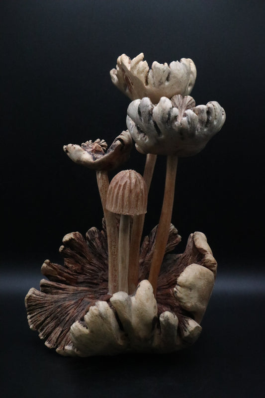 HAND CARVED PARASITE WOOD MUSHROOM SCULPTURE (AS IS )