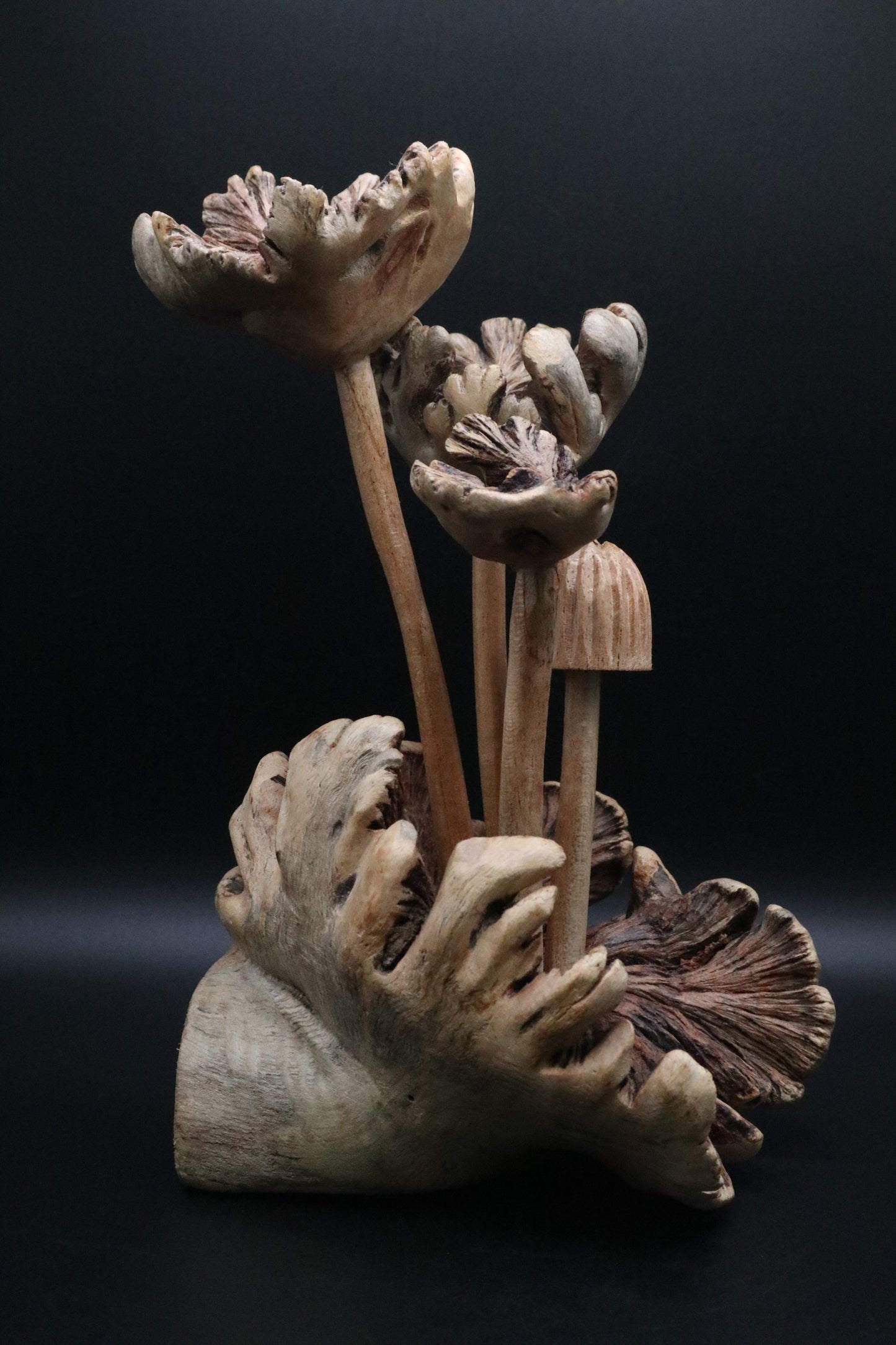 HAND CARVED PARASITE WOOD MUSHROOM SCULPTURE (AS IS )