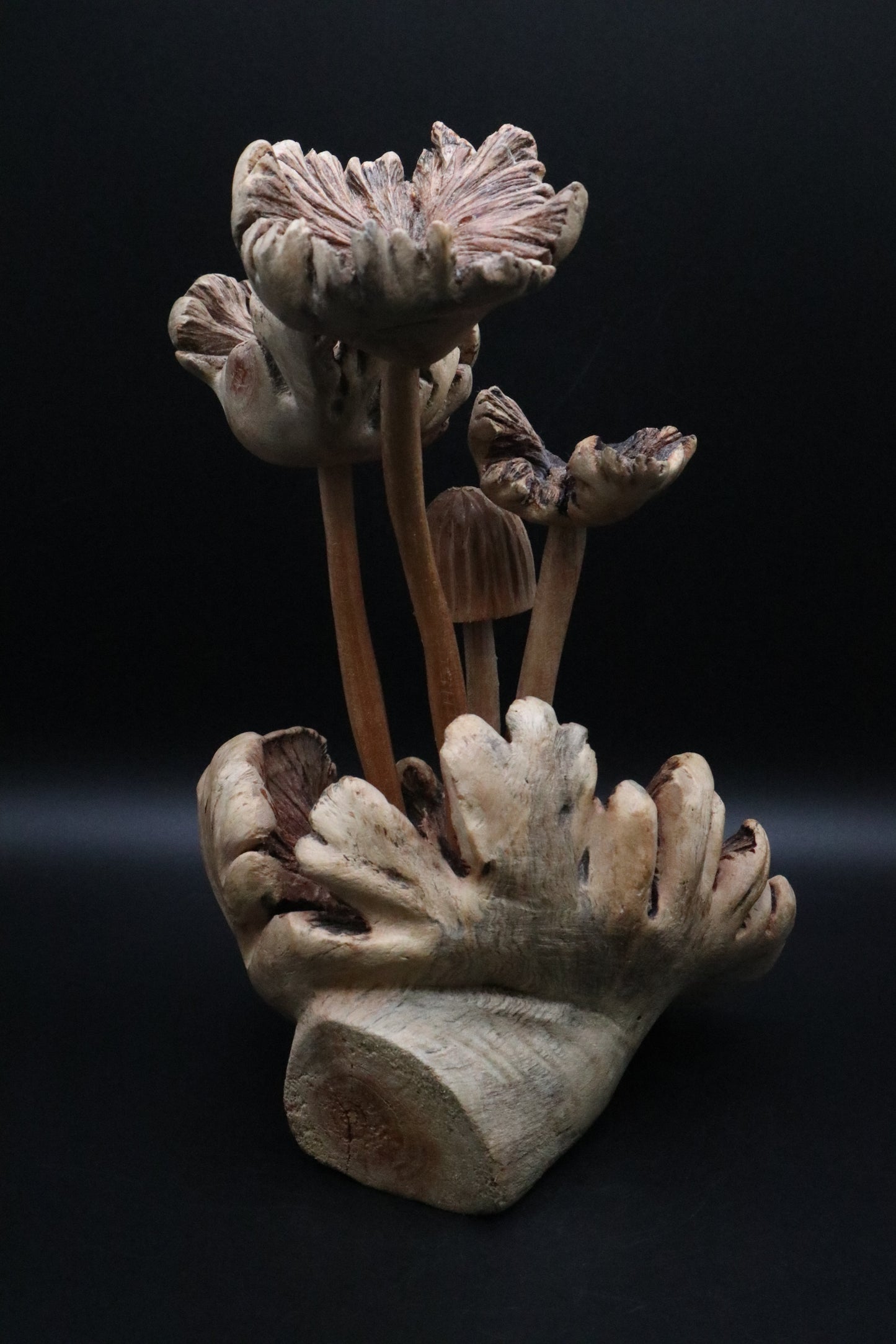 HAND CARVED PARASITE WOOD MUSHROOM SCULPTURE (AS IS )