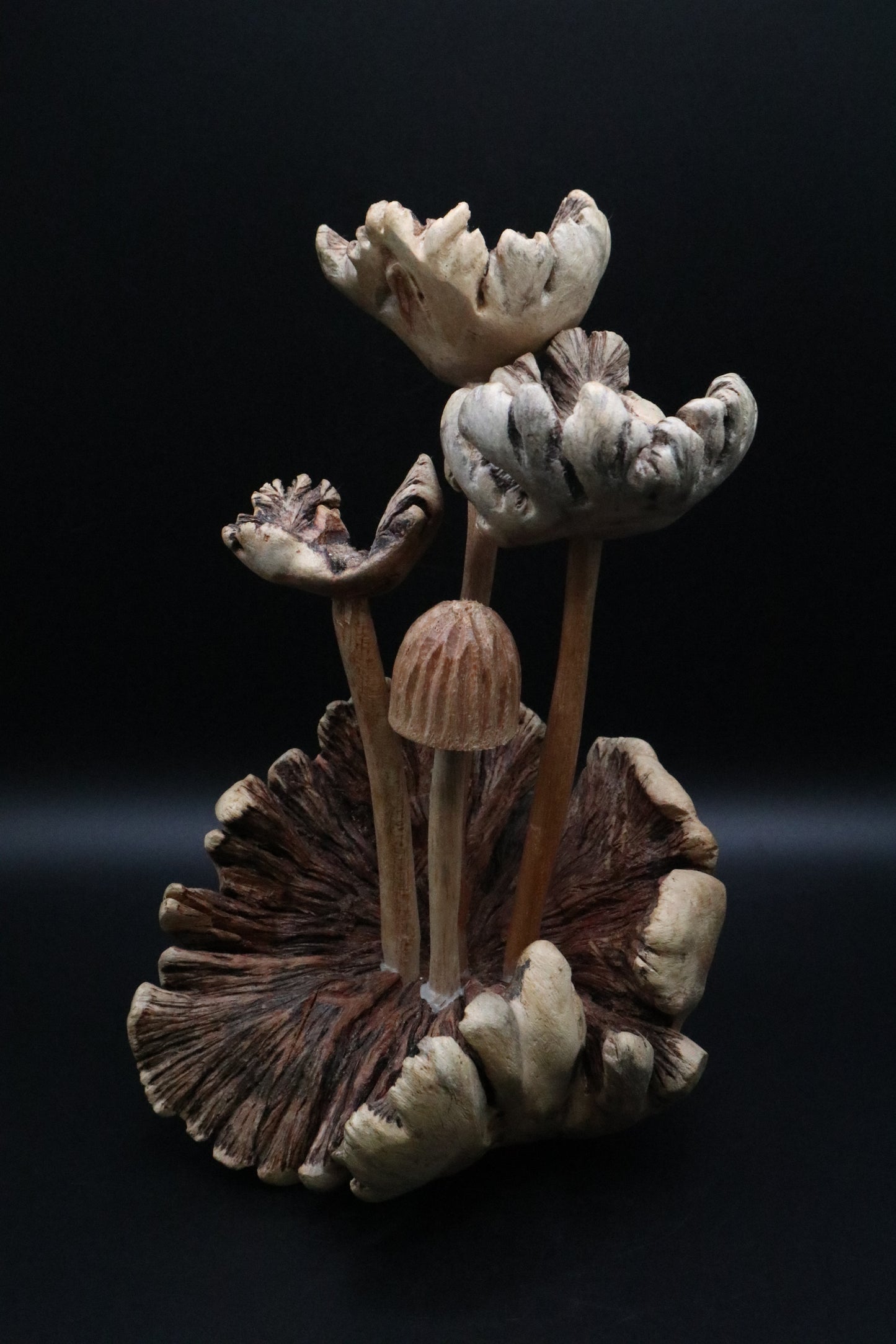 HAND CARVED PARASITE WOOD MUSHROOM SCULPTURE (AS IS )