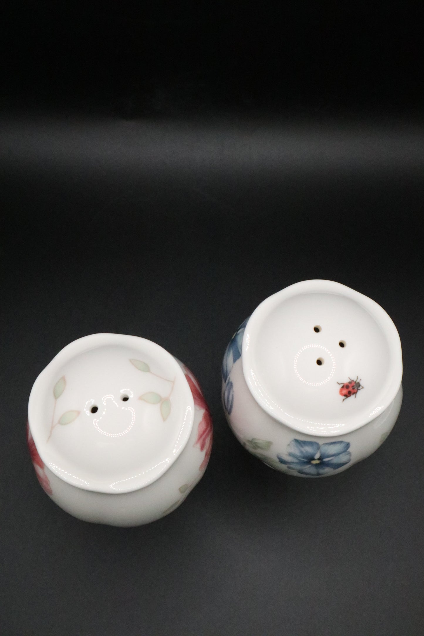 LENOX BUTTERFLY MEADOW SALT AND PEPPER