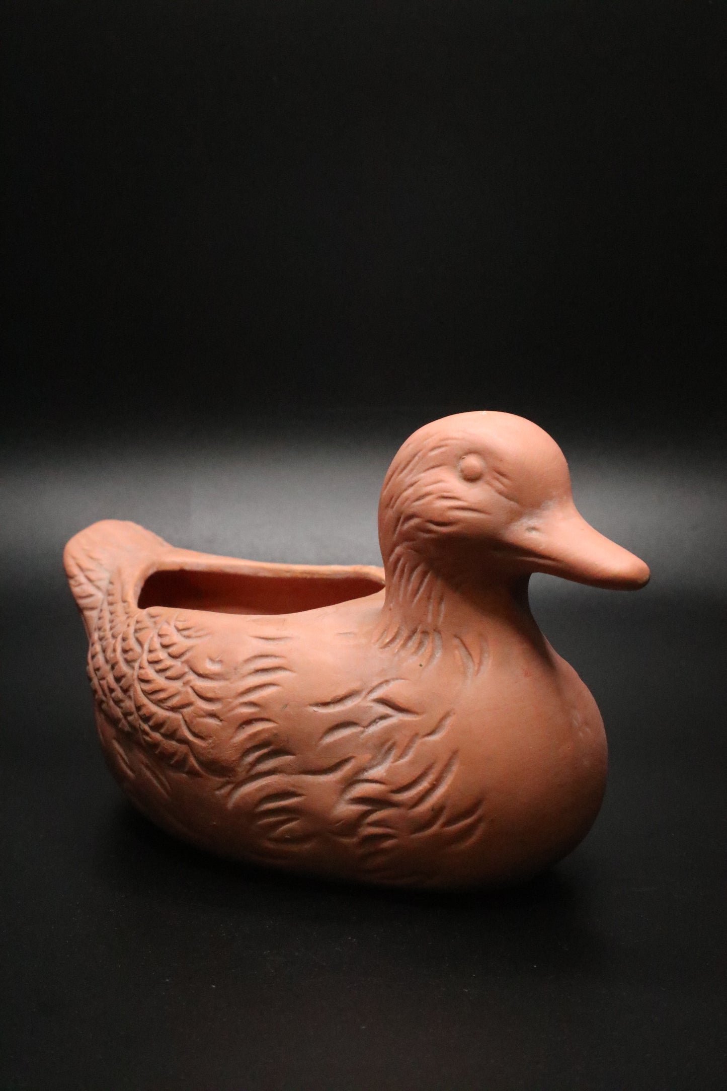 TERRA COTTA DUCK PLANTER