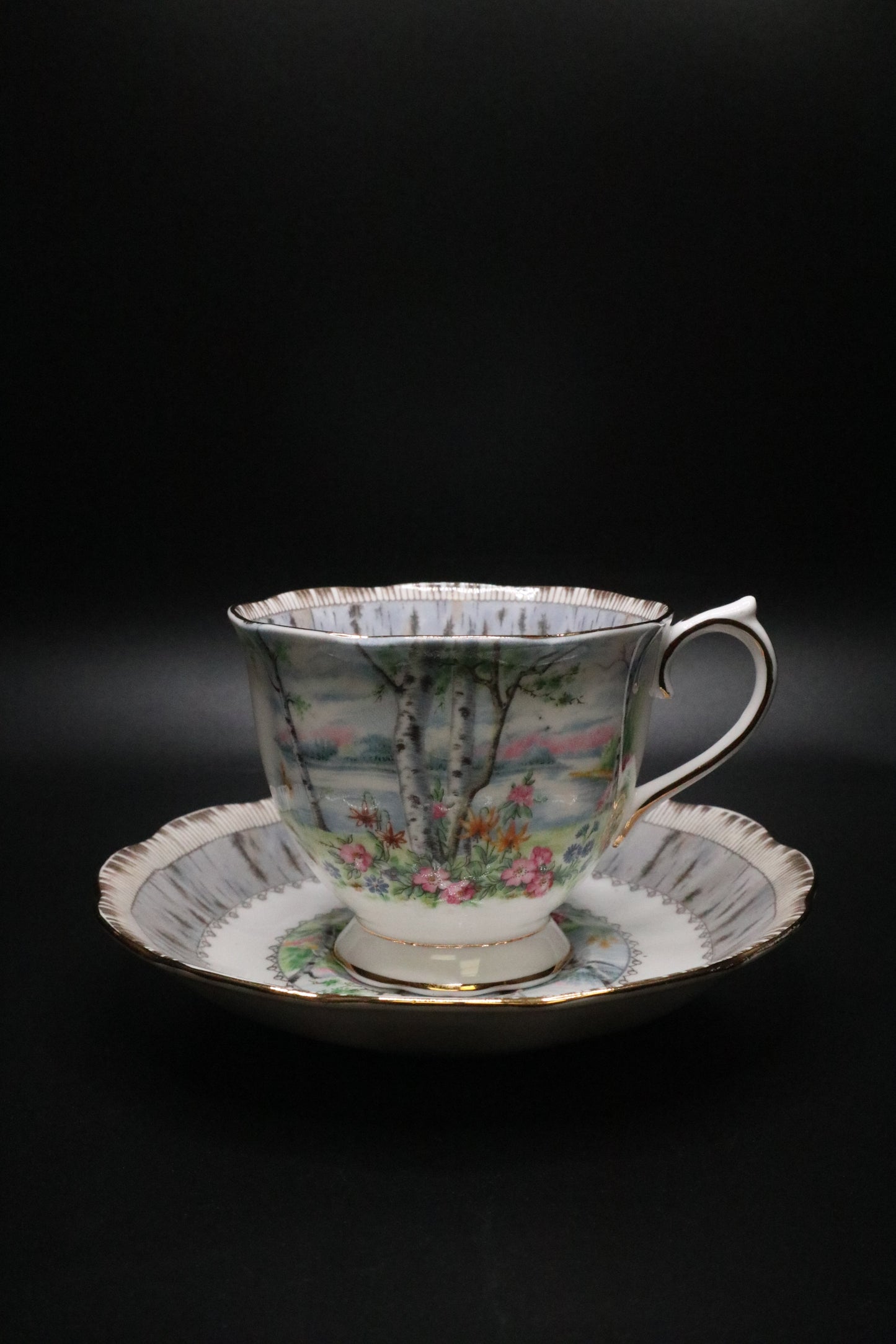 VINTAGE ROYAL ALBERT "SILVER BIRCH" ENGLAND CUP AND SAUCER