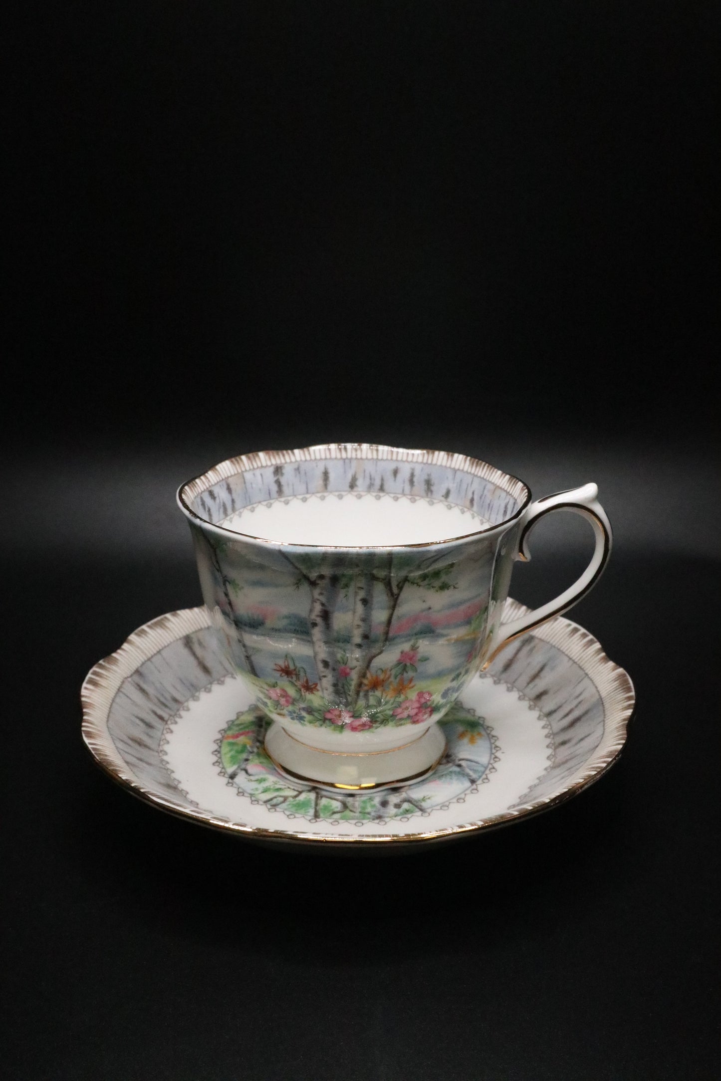 VINTAGE ROYAL ALBERT "SILVER BIRCH" ENGLAND CUP AND SAUCER