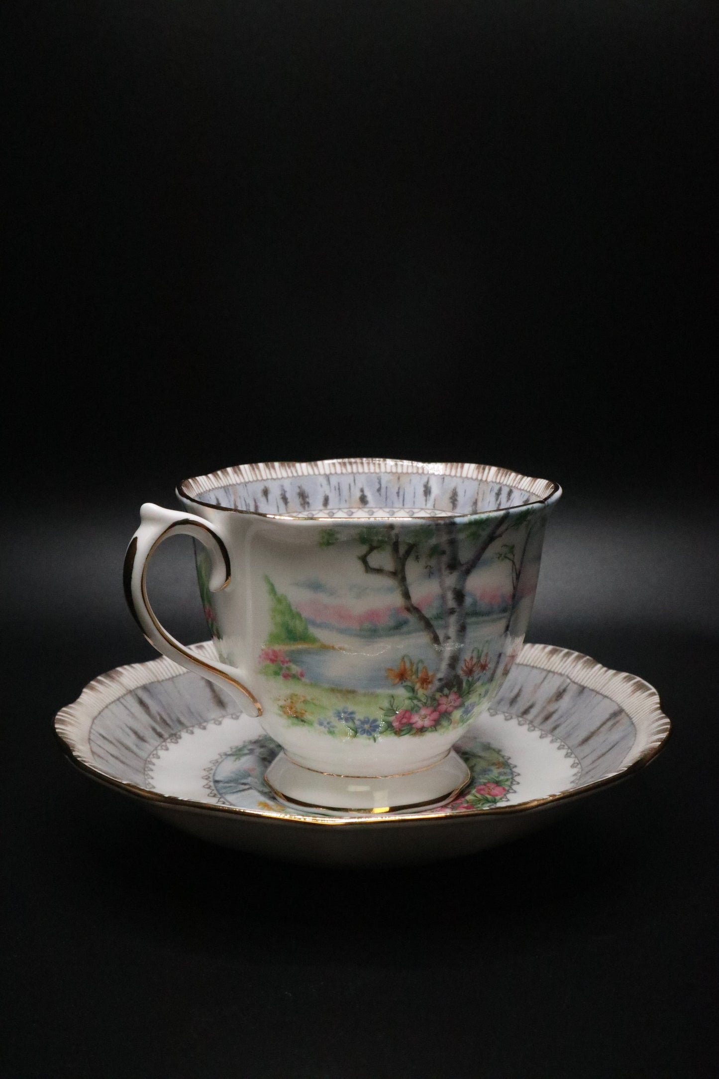 VINTAGE ROYAL ALBERT "SILVER BIRCH" ENGLAND CUP AND SAUCER