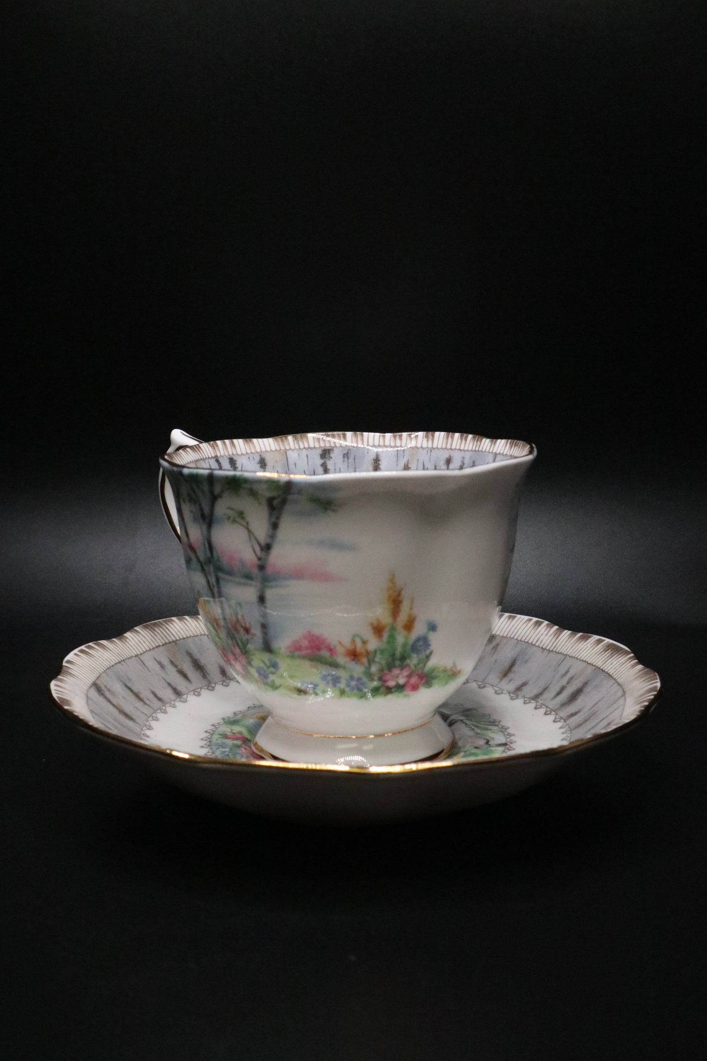 VINTAGE ROYAL ALBERT "SILVER BIRCH" ENGLAND CUP AND SAUCER