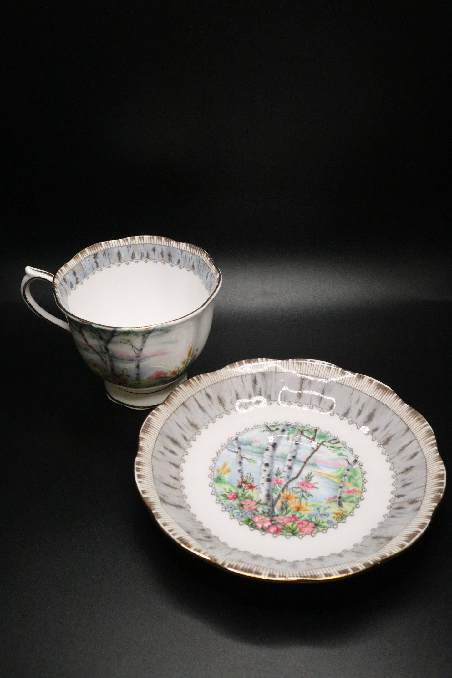 VINTAGE ROYAL ALBERT "SILVER BIRCH" ENGLAND CUP AND SAUCER