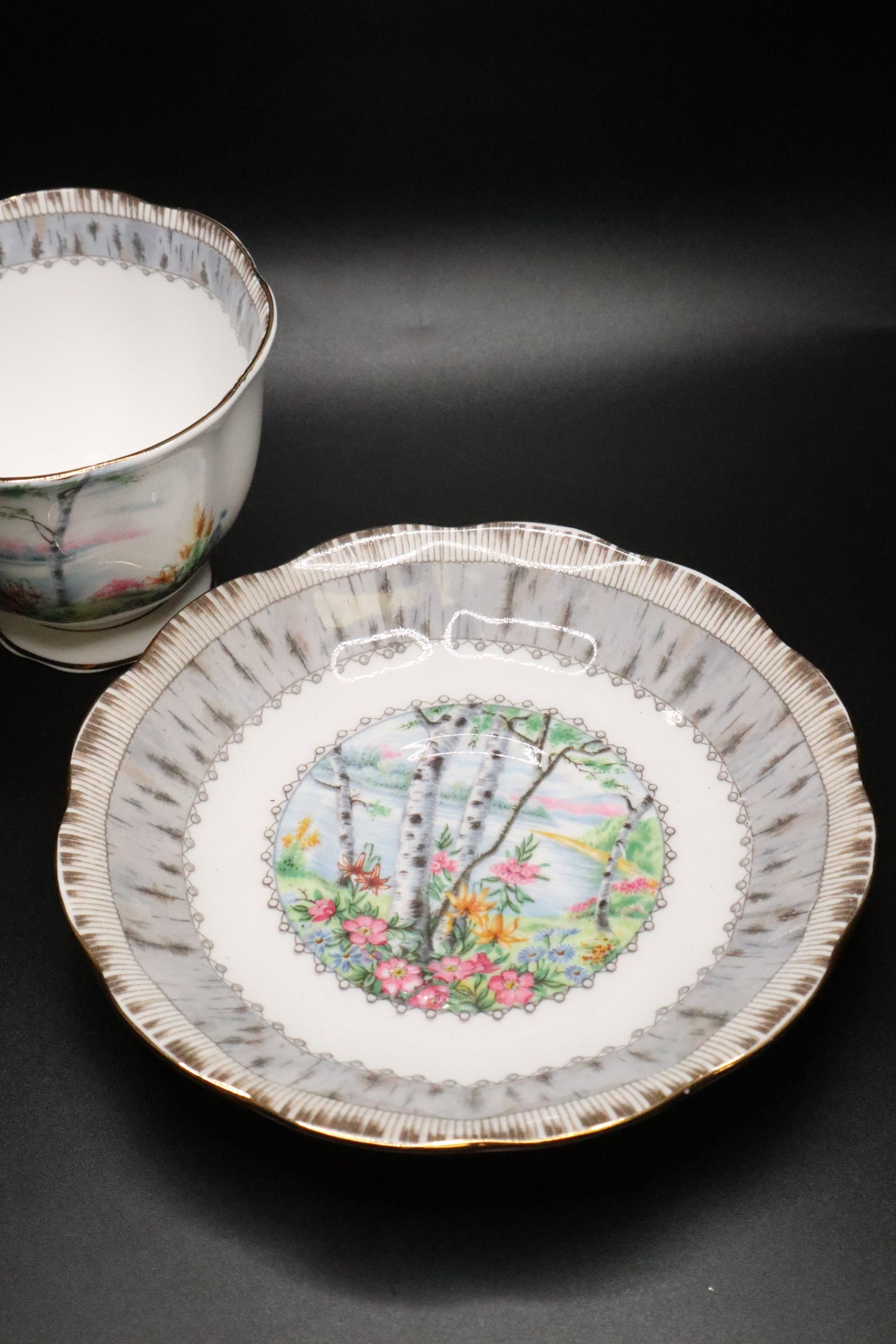 VINTAGE ROYAL ALBERT "SILVER BIRCH" ENGLAND CUP AND SAUCER