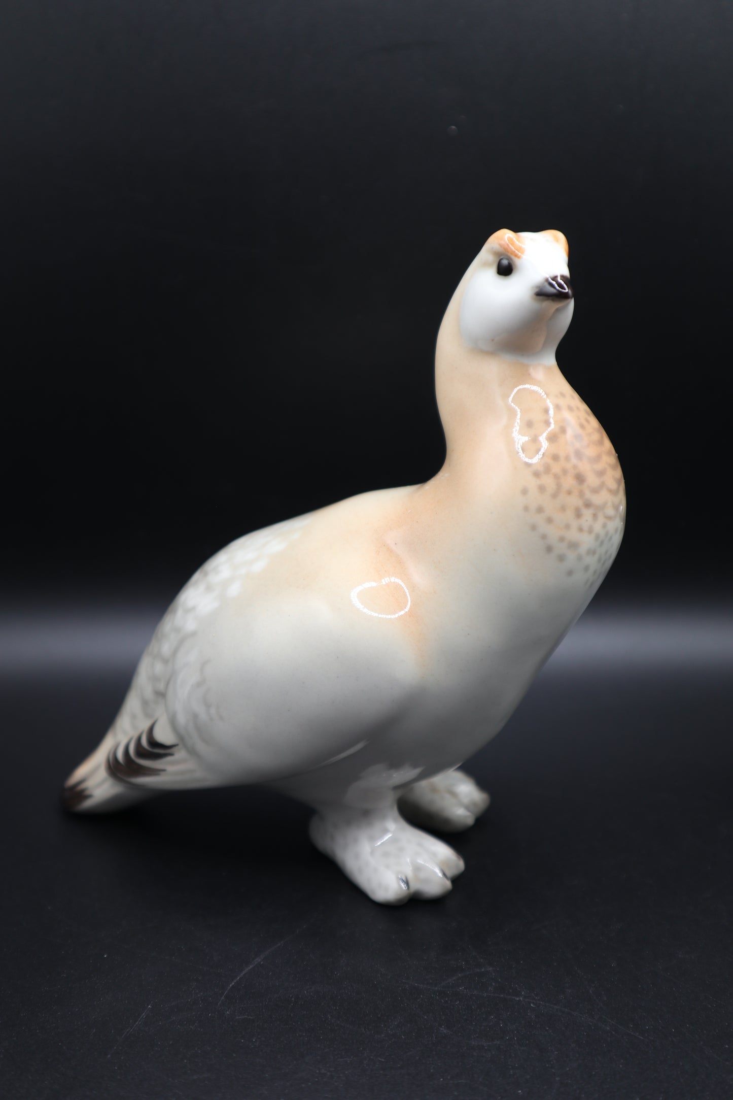 LOMONSOV RUSSIA QUAIL